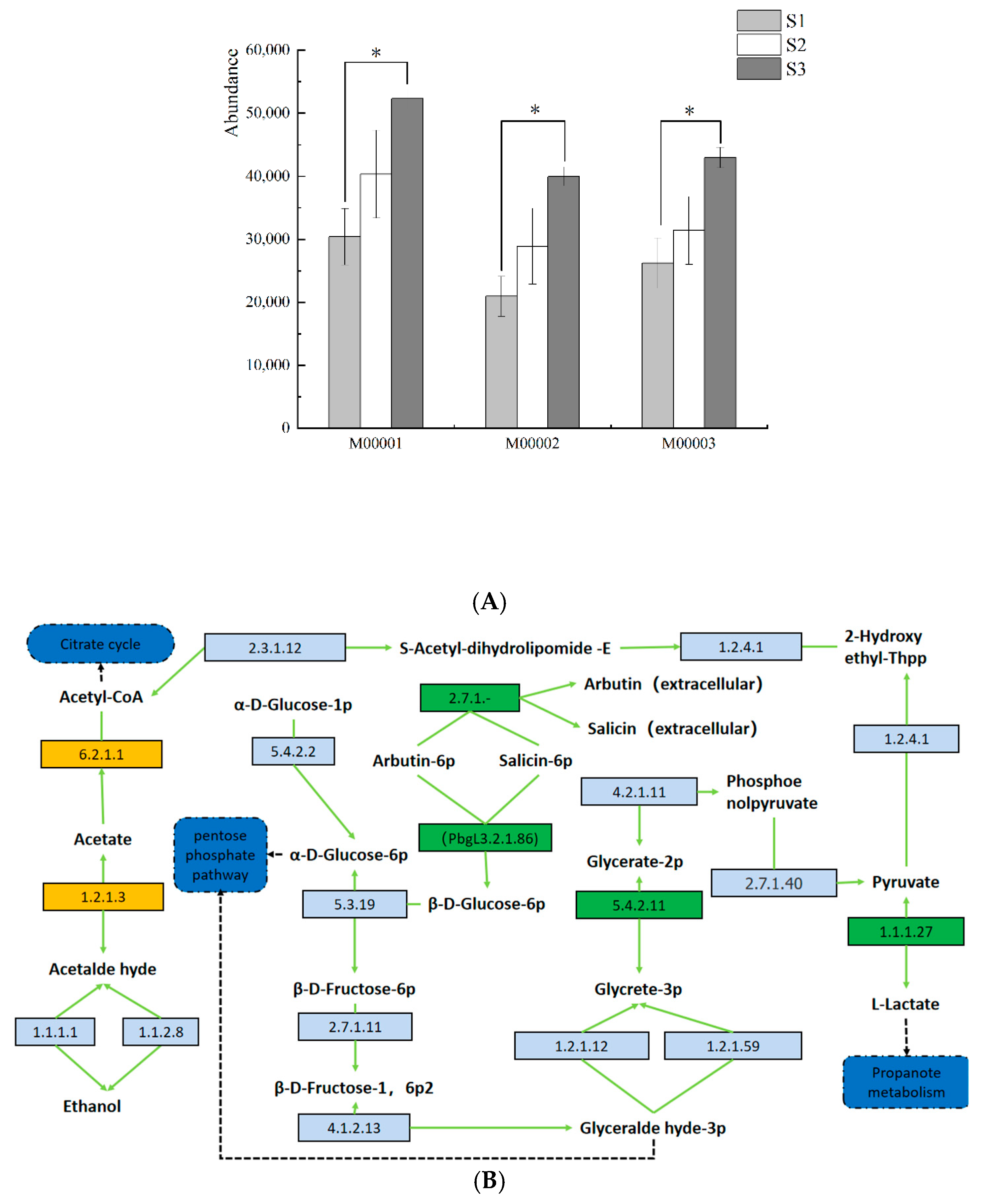 Fermentation 08 00281 g008 550