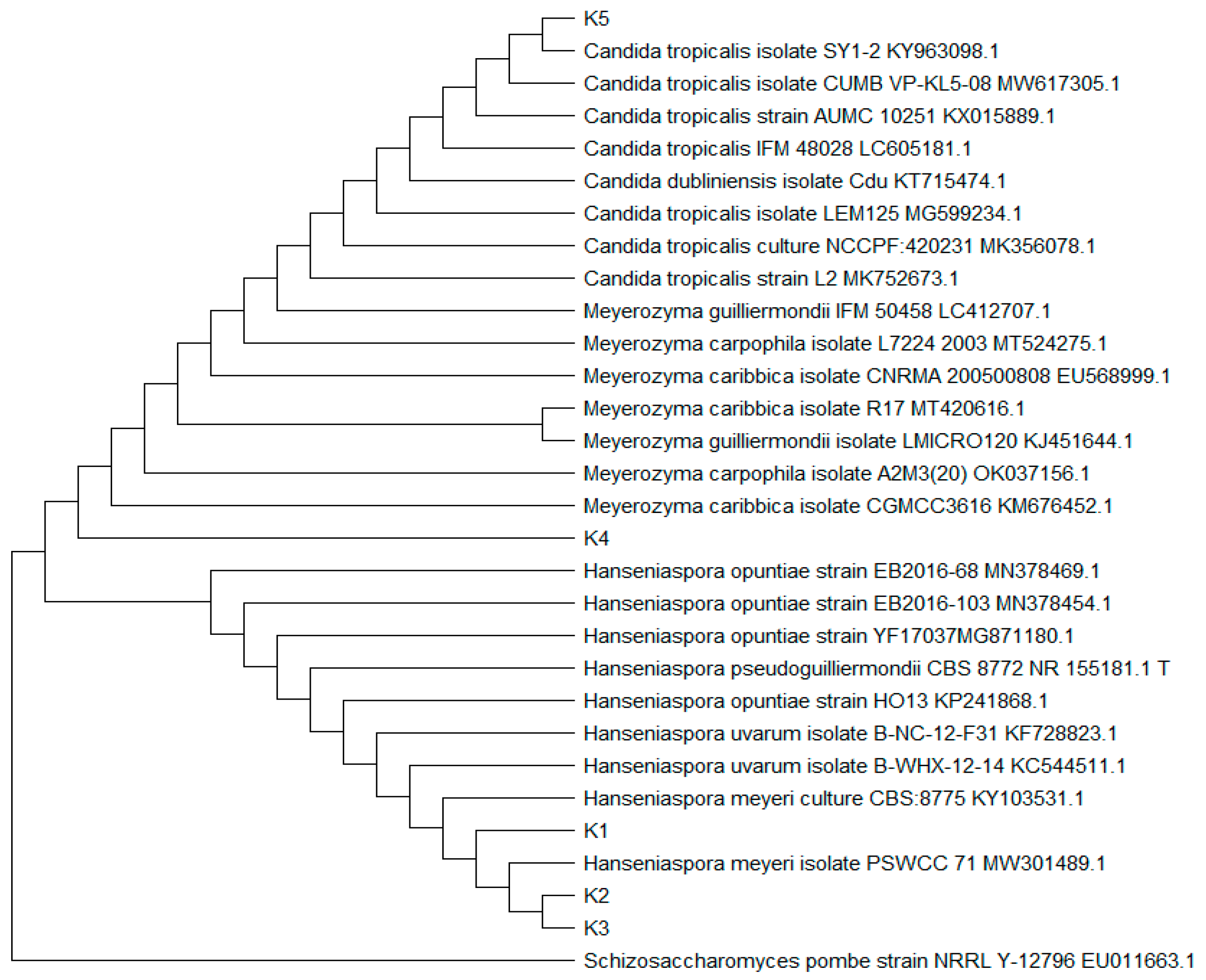 Fermentation 08 00283 g002