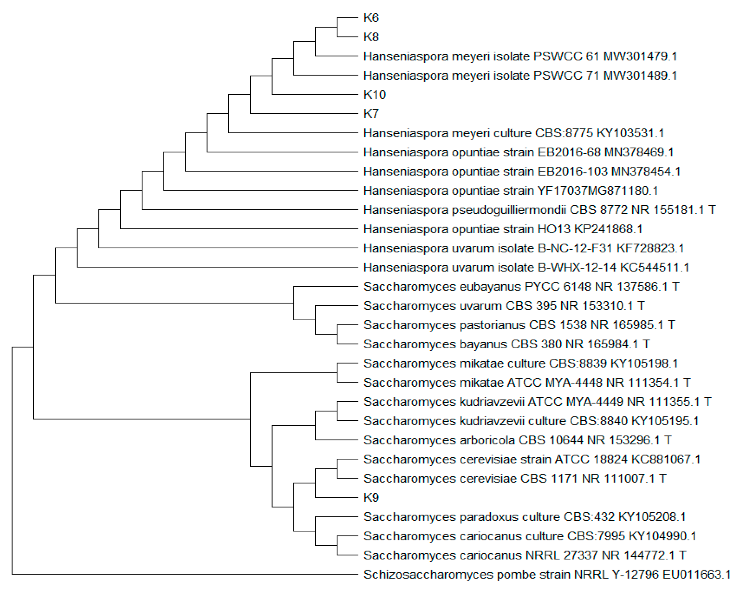Fermentation 08 00283 g003