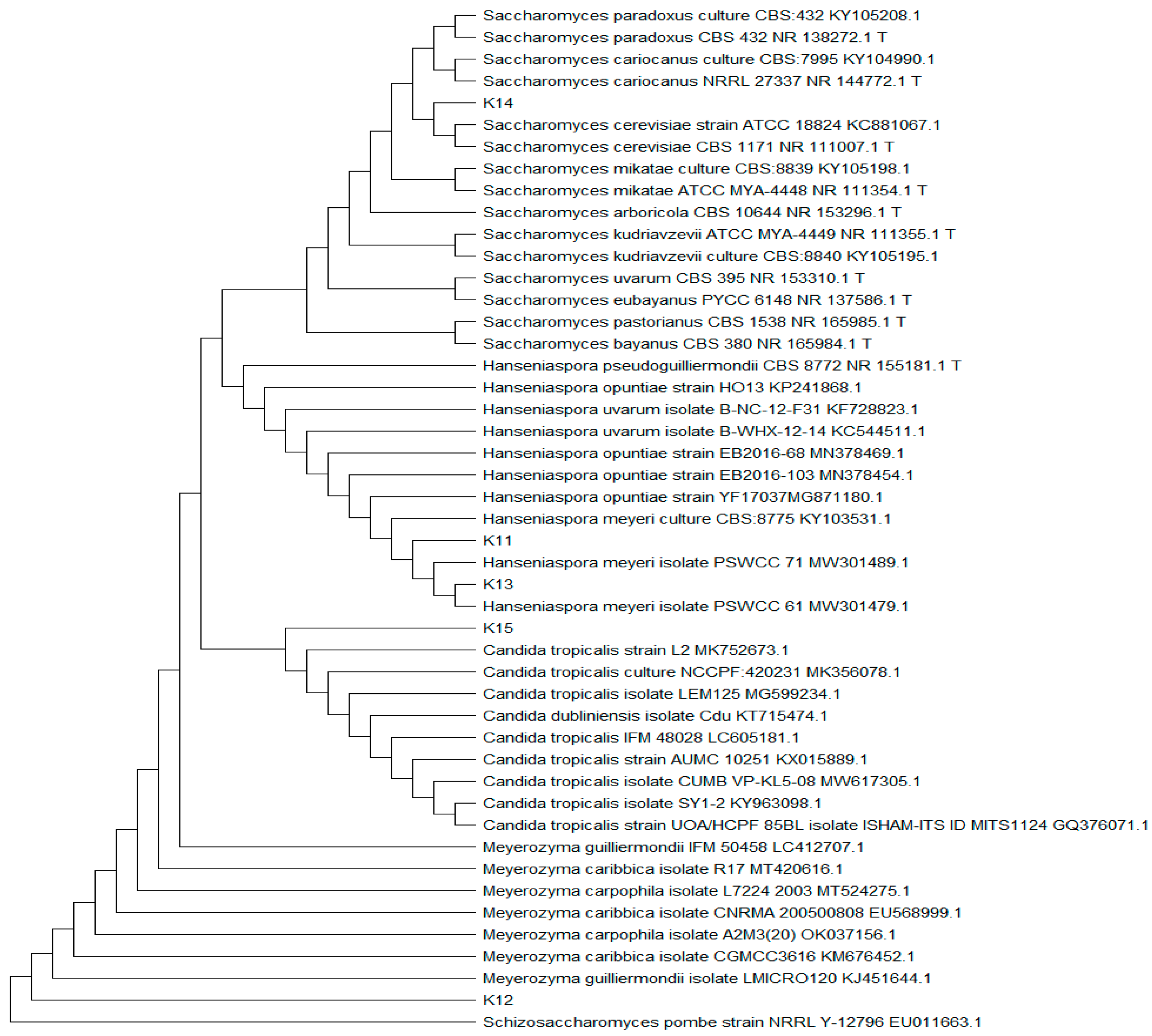 Fermentation 08 00283 g004
