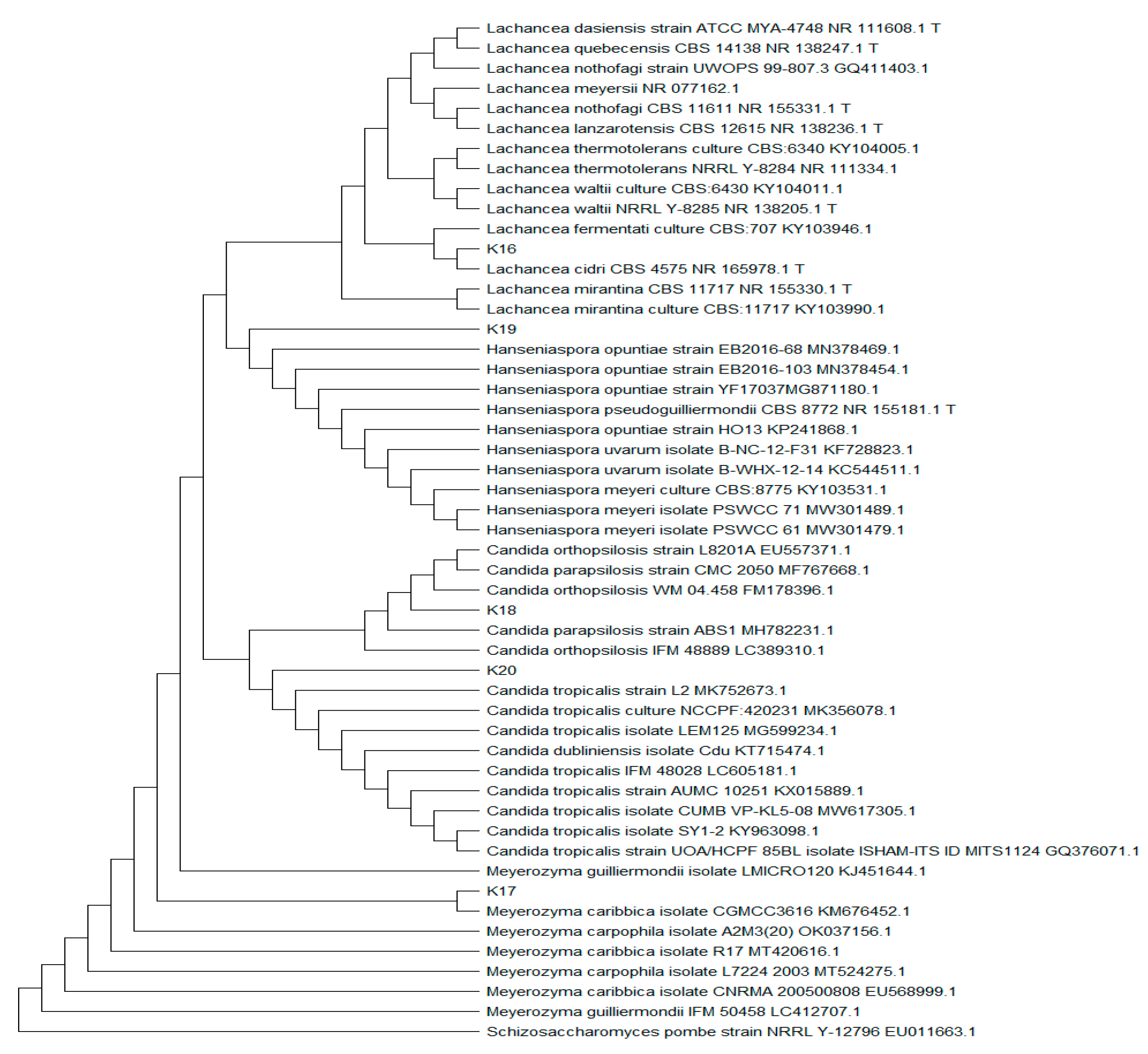 Fermentation 08 00283 g005