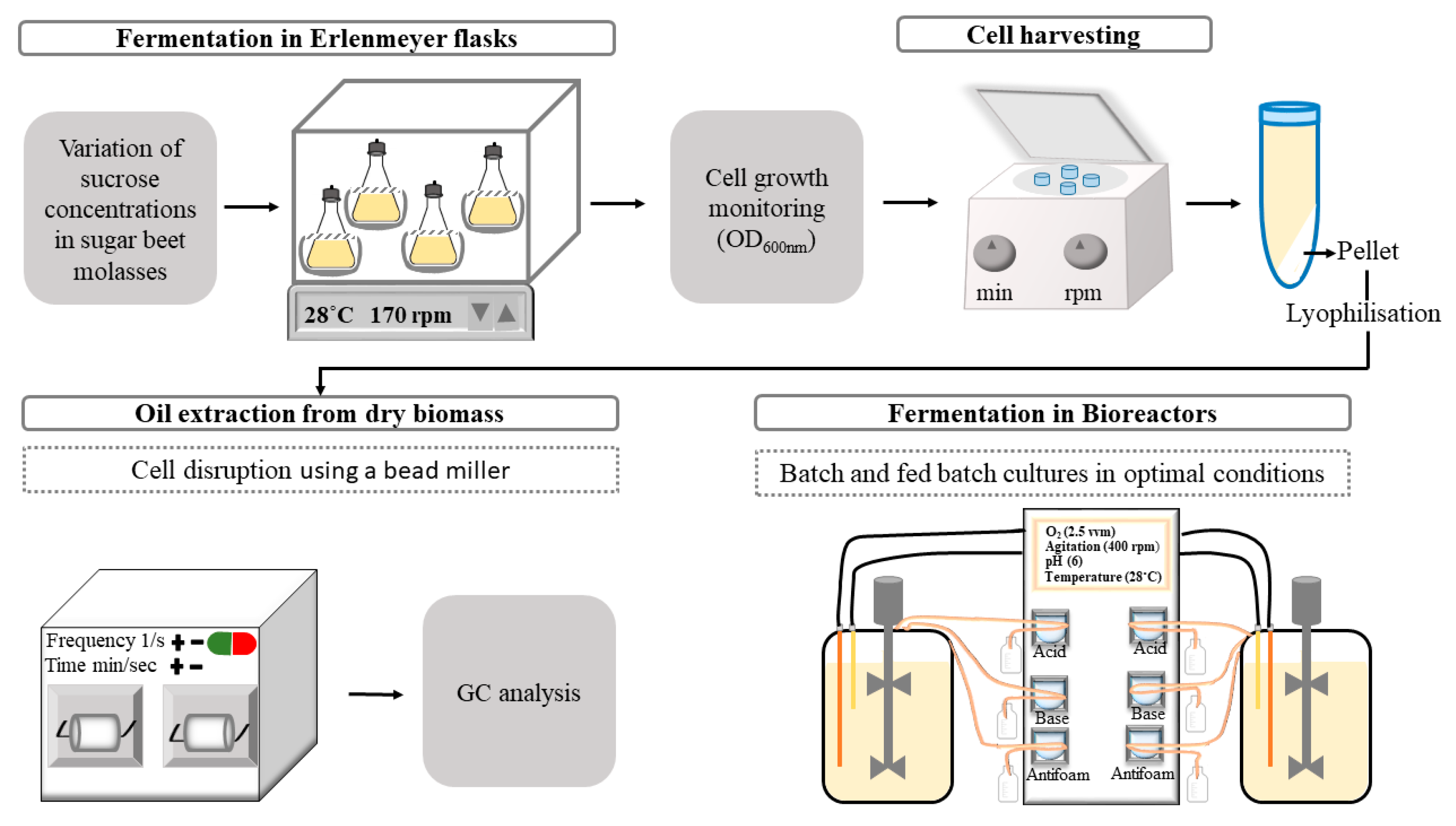 Fermentation 08 00284 g001 550