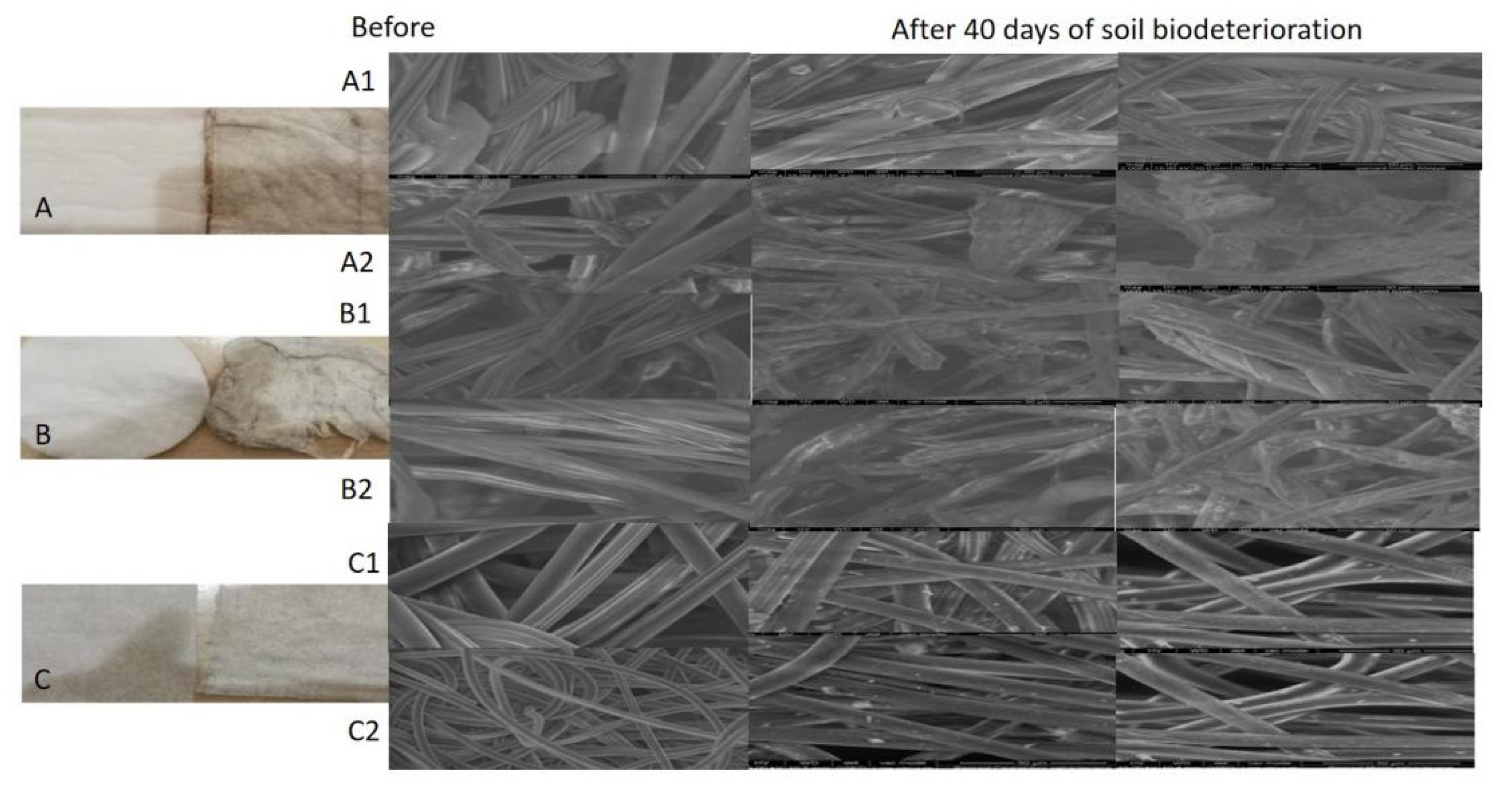 Fermentation 08 00287 g003 550