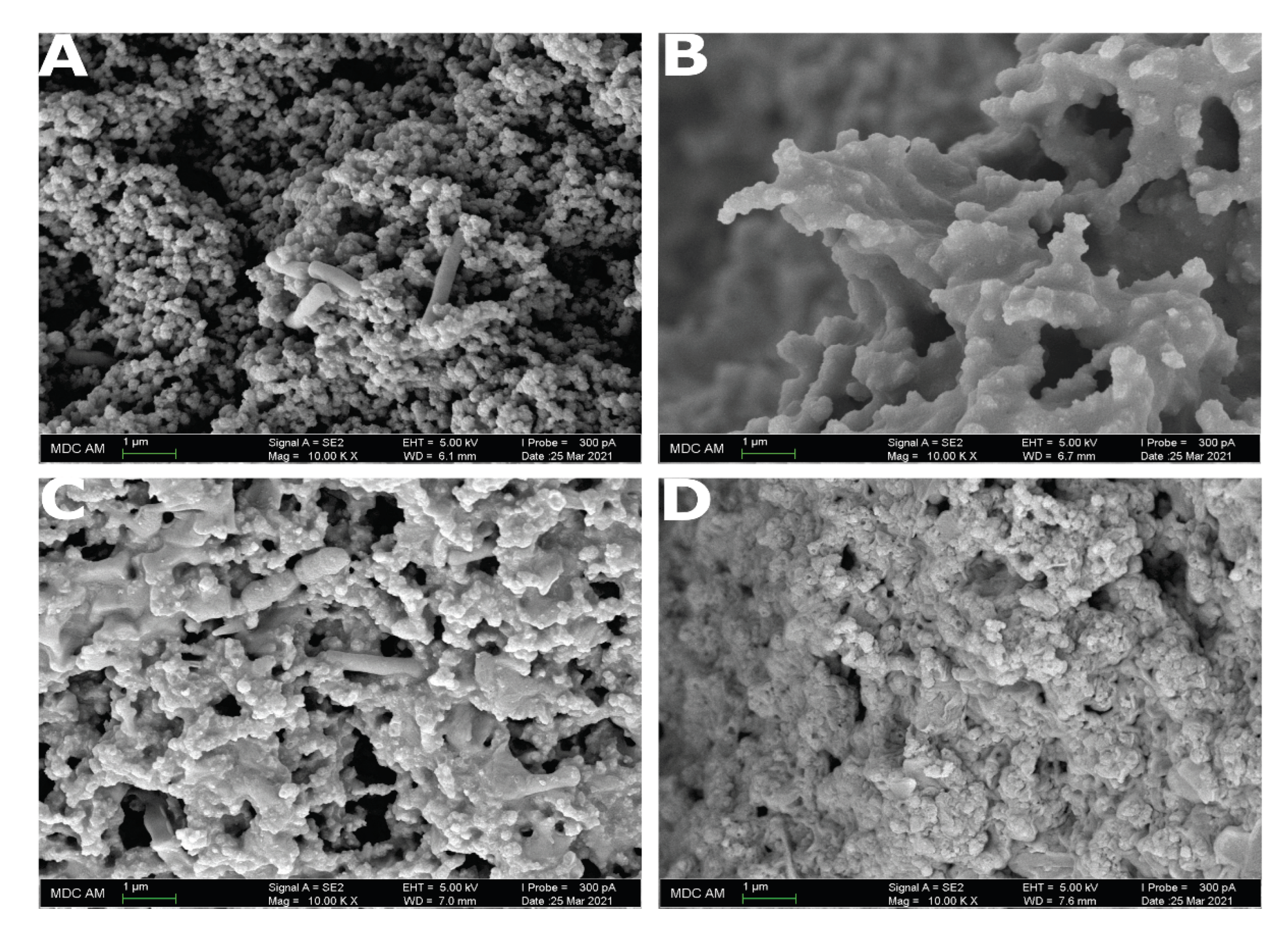 Fermentation 08 00290 g003 550