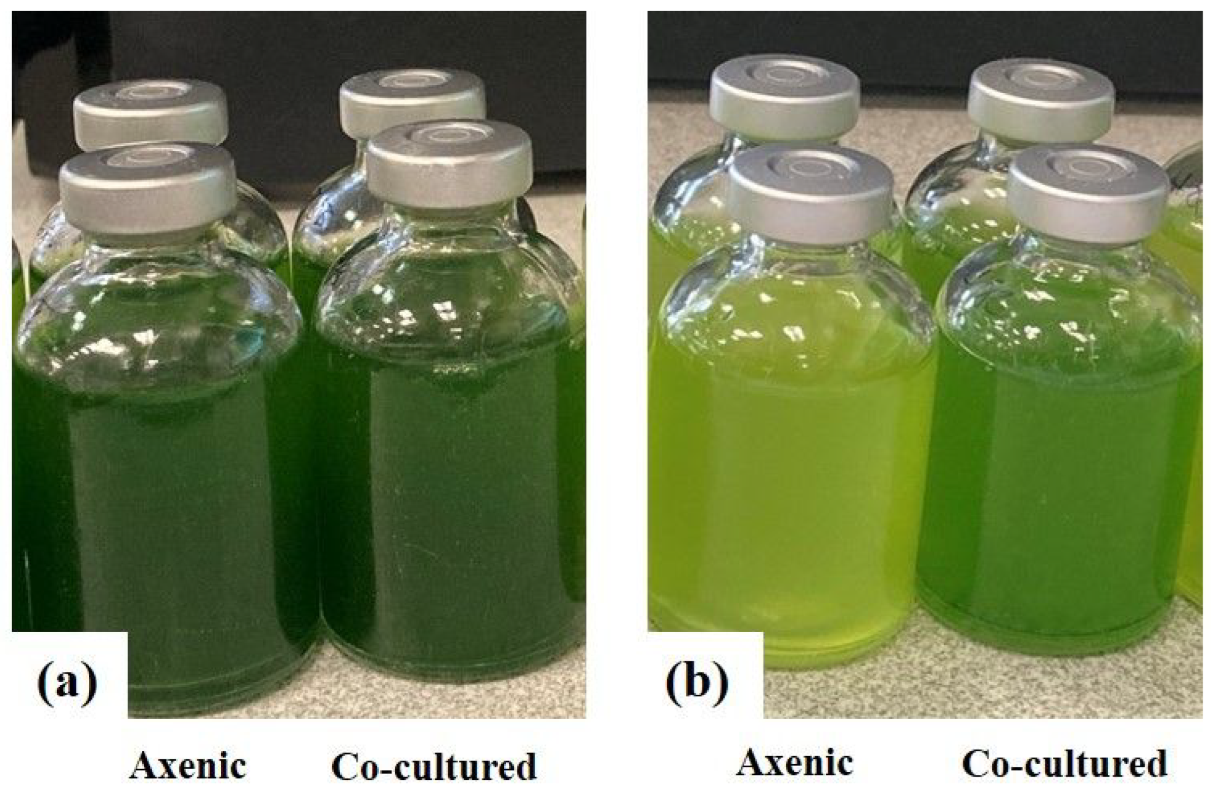 Fermentation 08 00294 g004 550