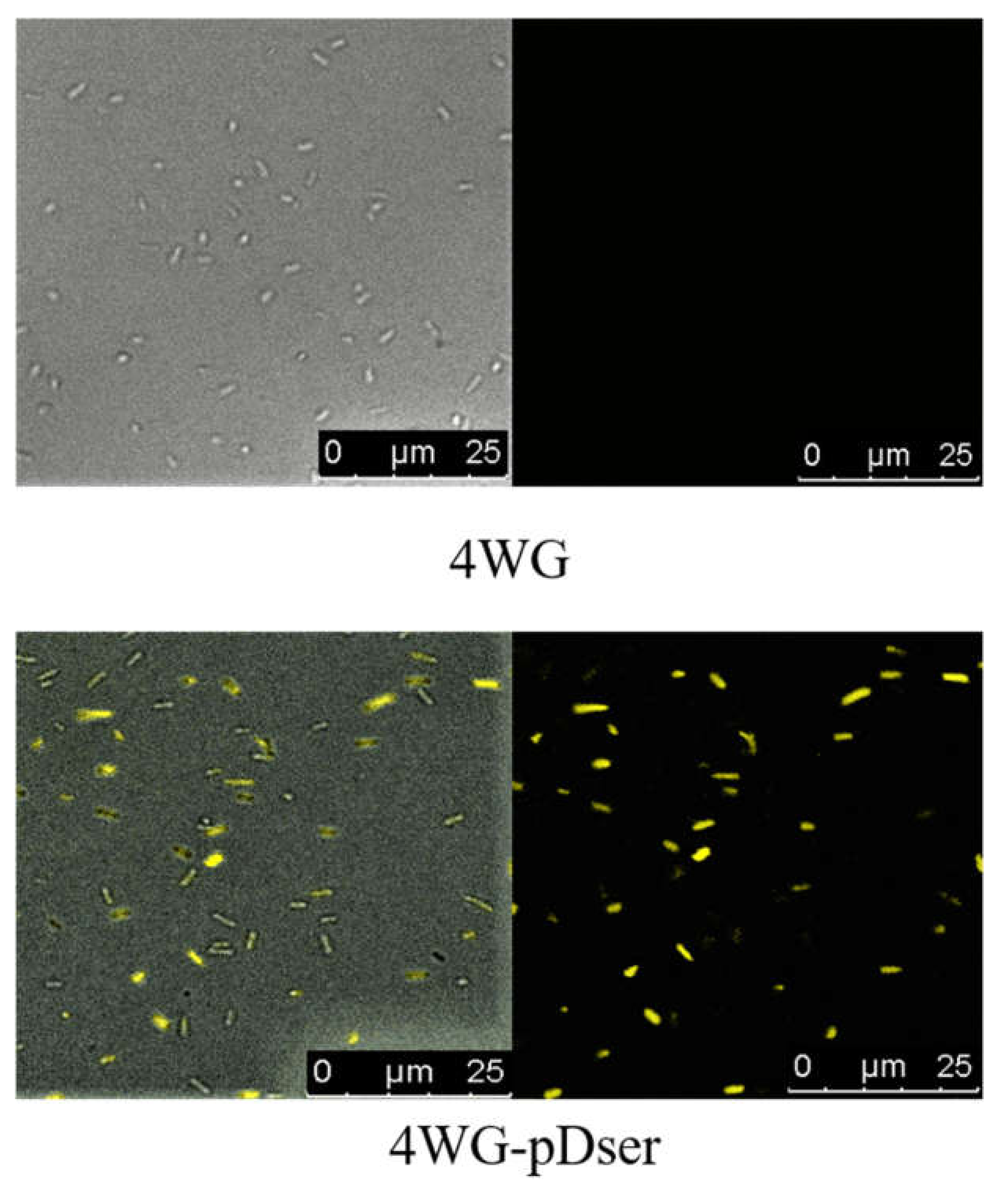 Fermentation 08 00299 g004 Fermentation 08 00299 g004