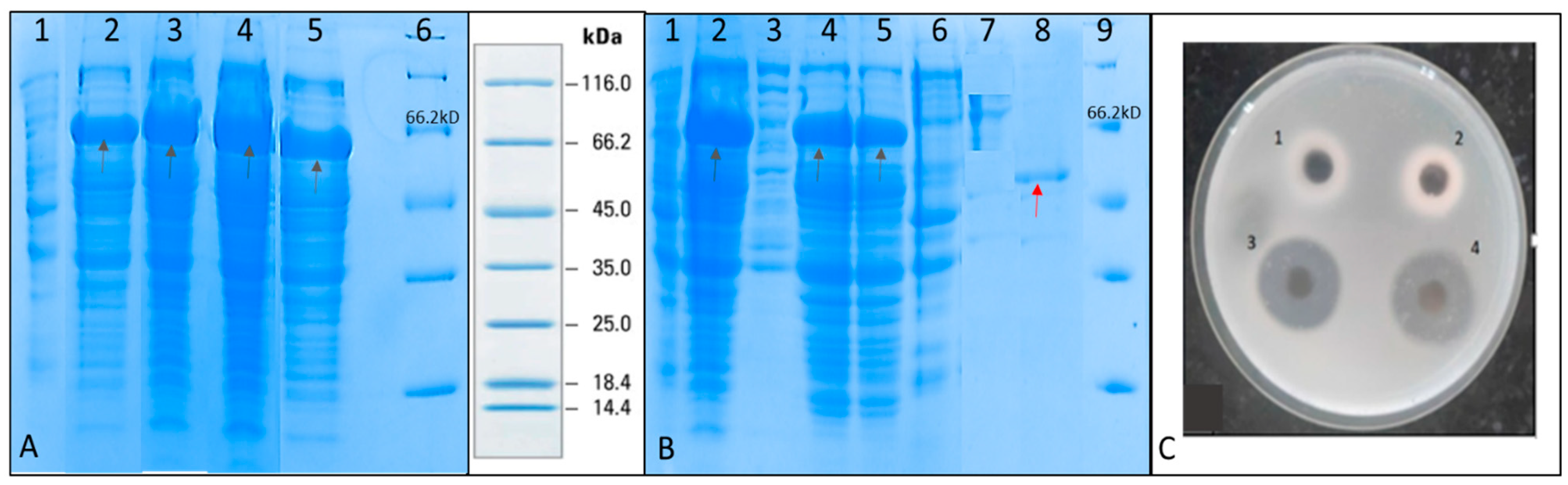 Fermentation 08 00307 g003