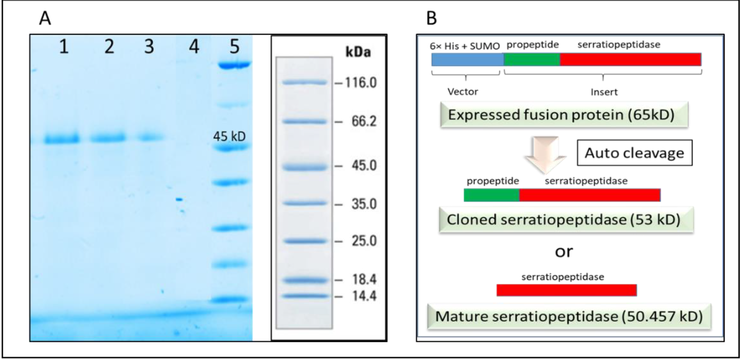 Fermentation 08 00307 g005