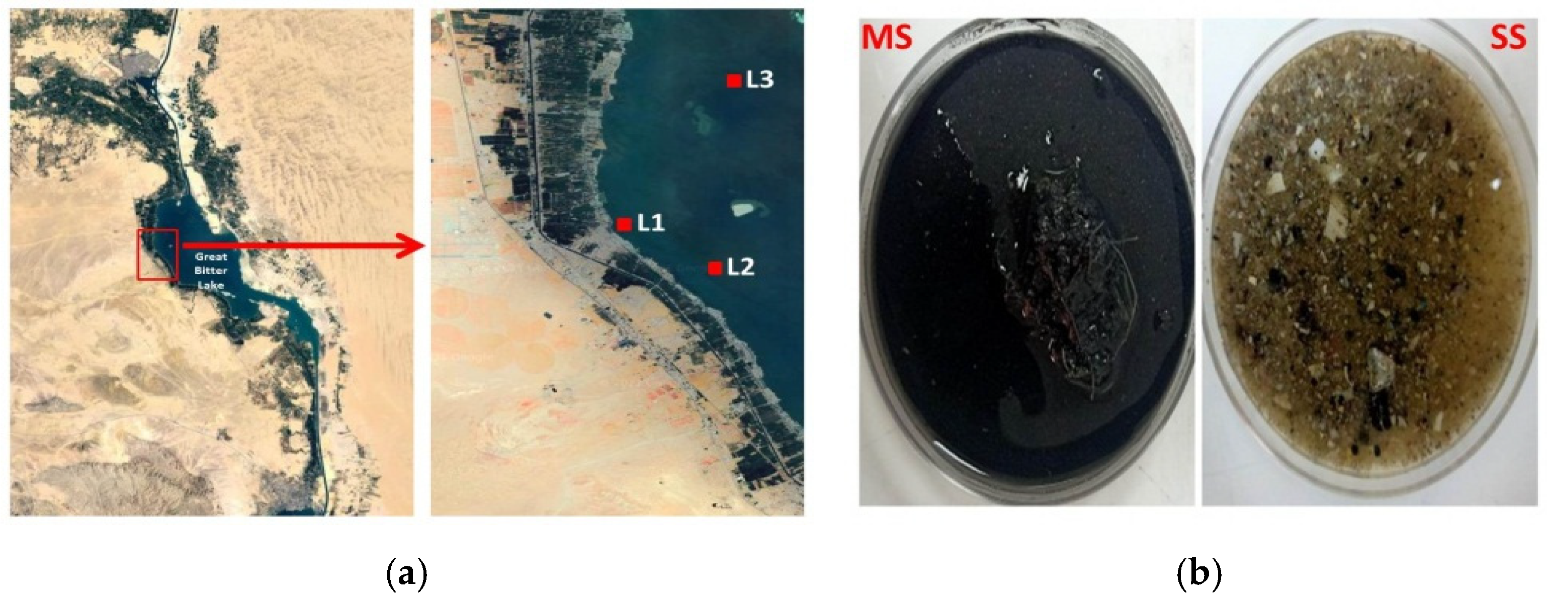 Fermentation 08 00309 g001 Fermentation 08 00309 g001