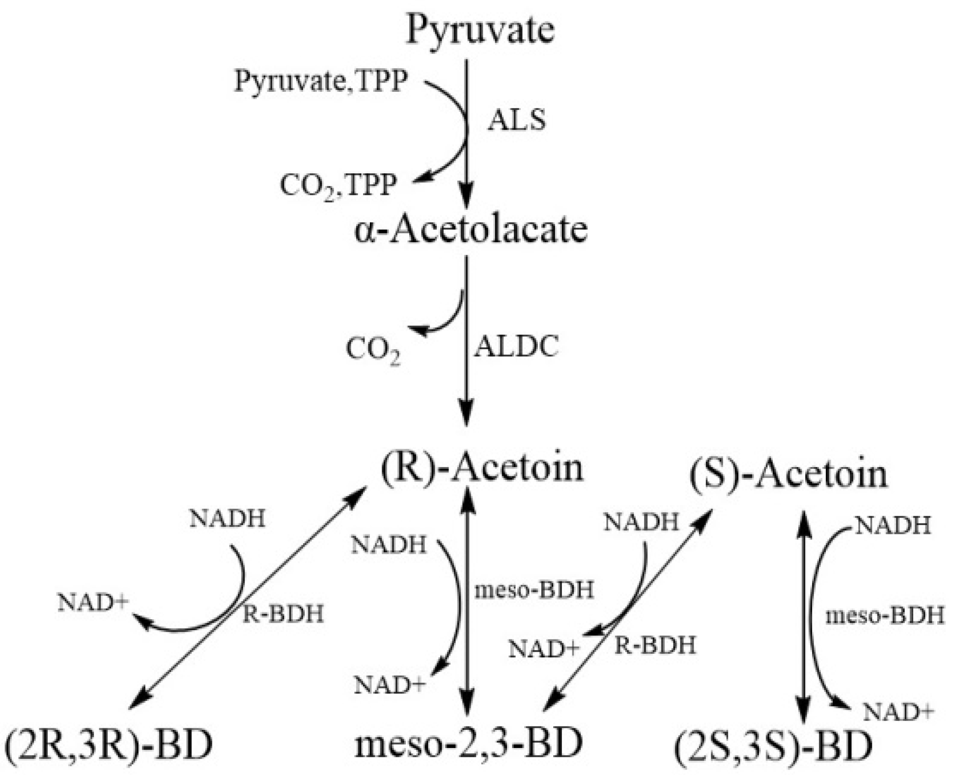 Fermentation 08 00312 g002