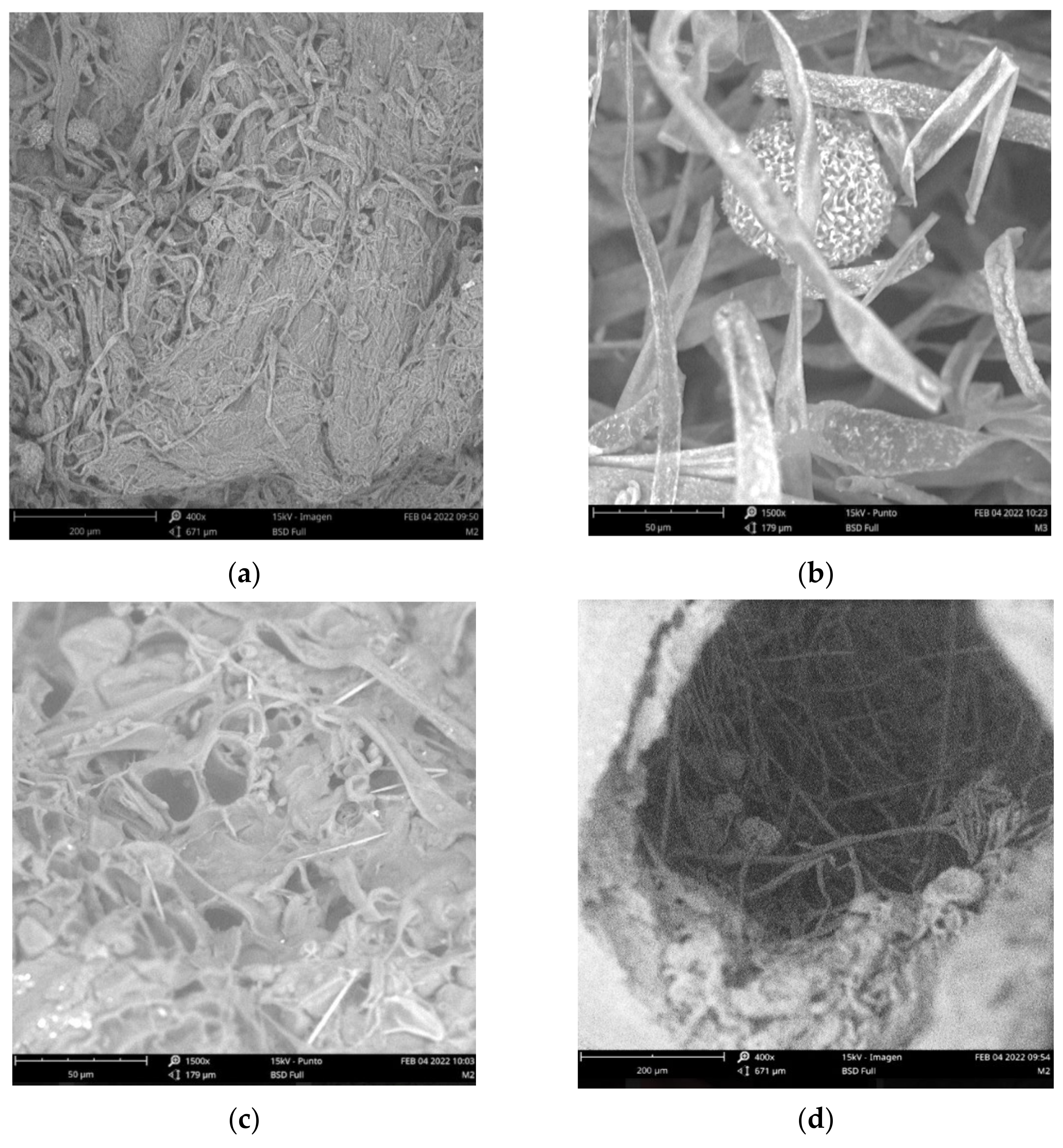Fermentation 08 00314 g002