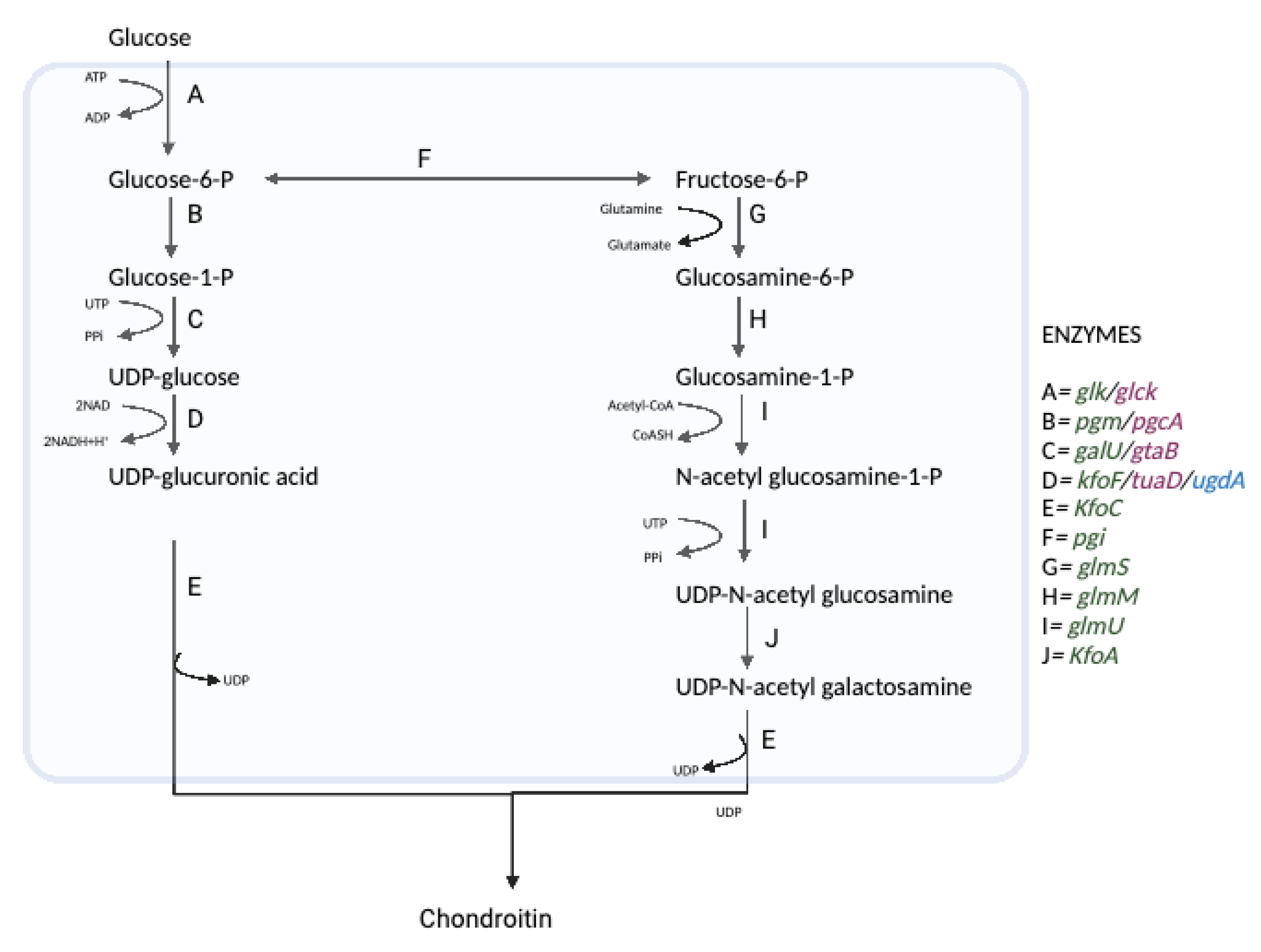 Fermentation 08 00323 g002