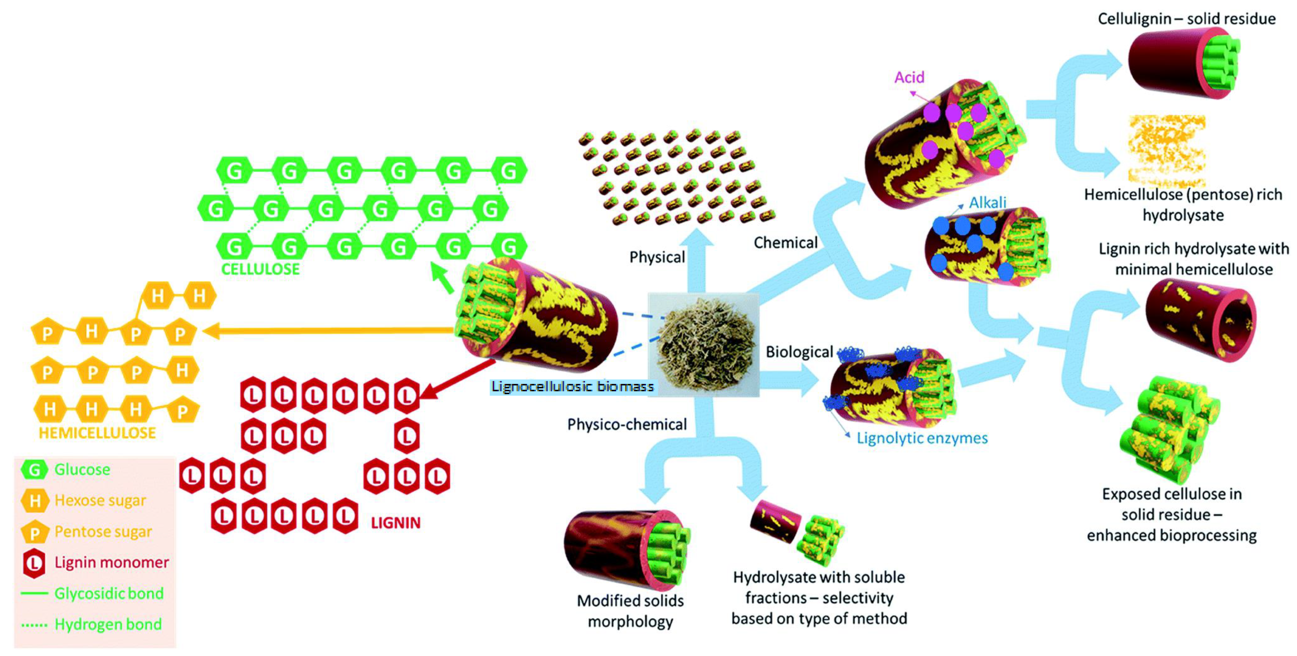 Fermentation 08 00325 g003 550