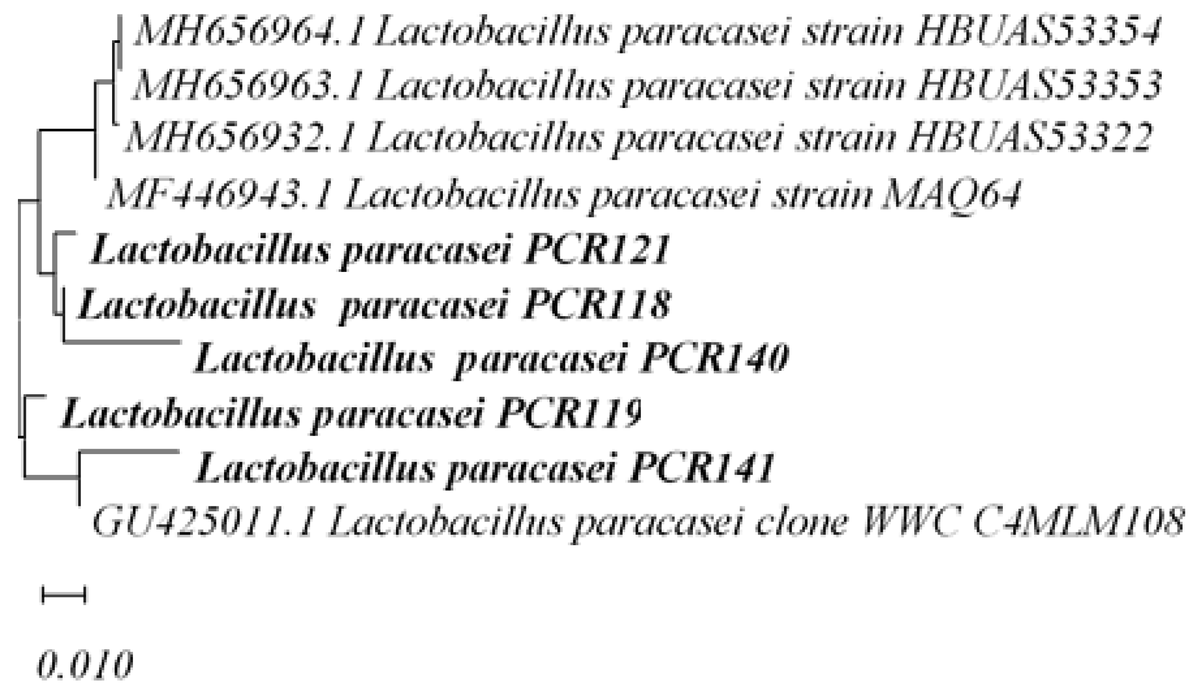 Fermentation 08 00328 g007