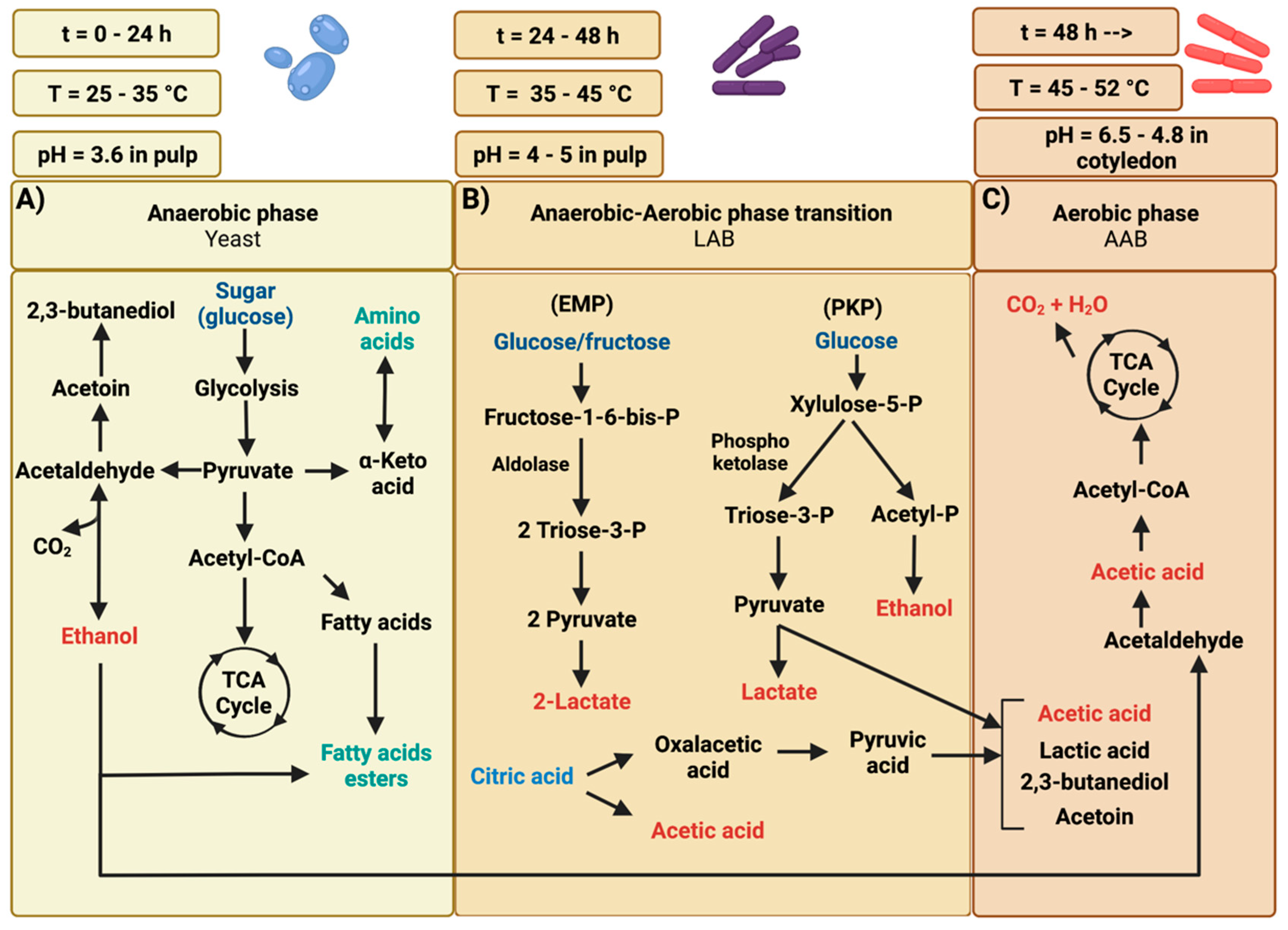 Fermentation 08 00331 g002