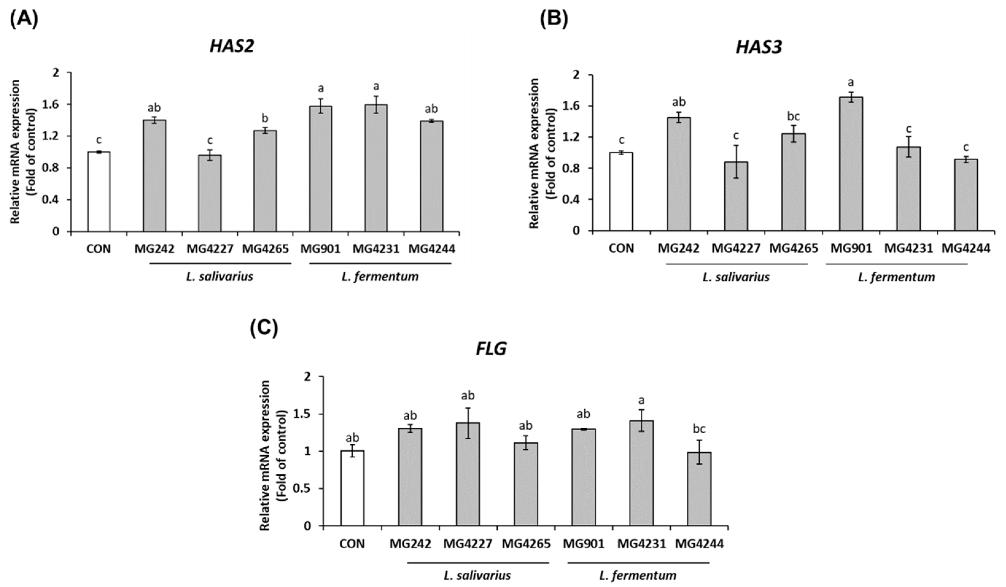 Fermentation 08 00332 g002