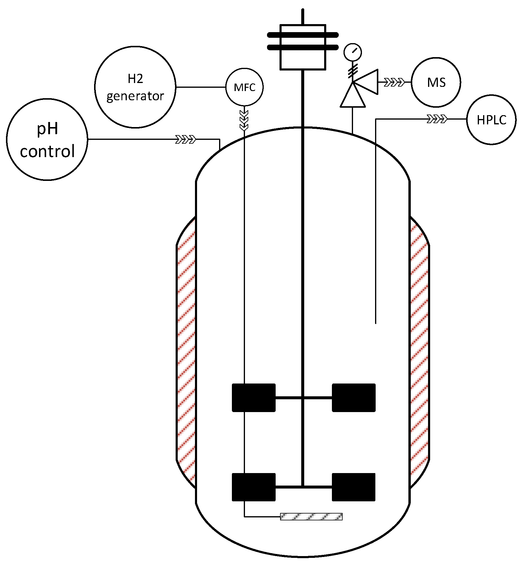 Fermentation 08 00333 g001