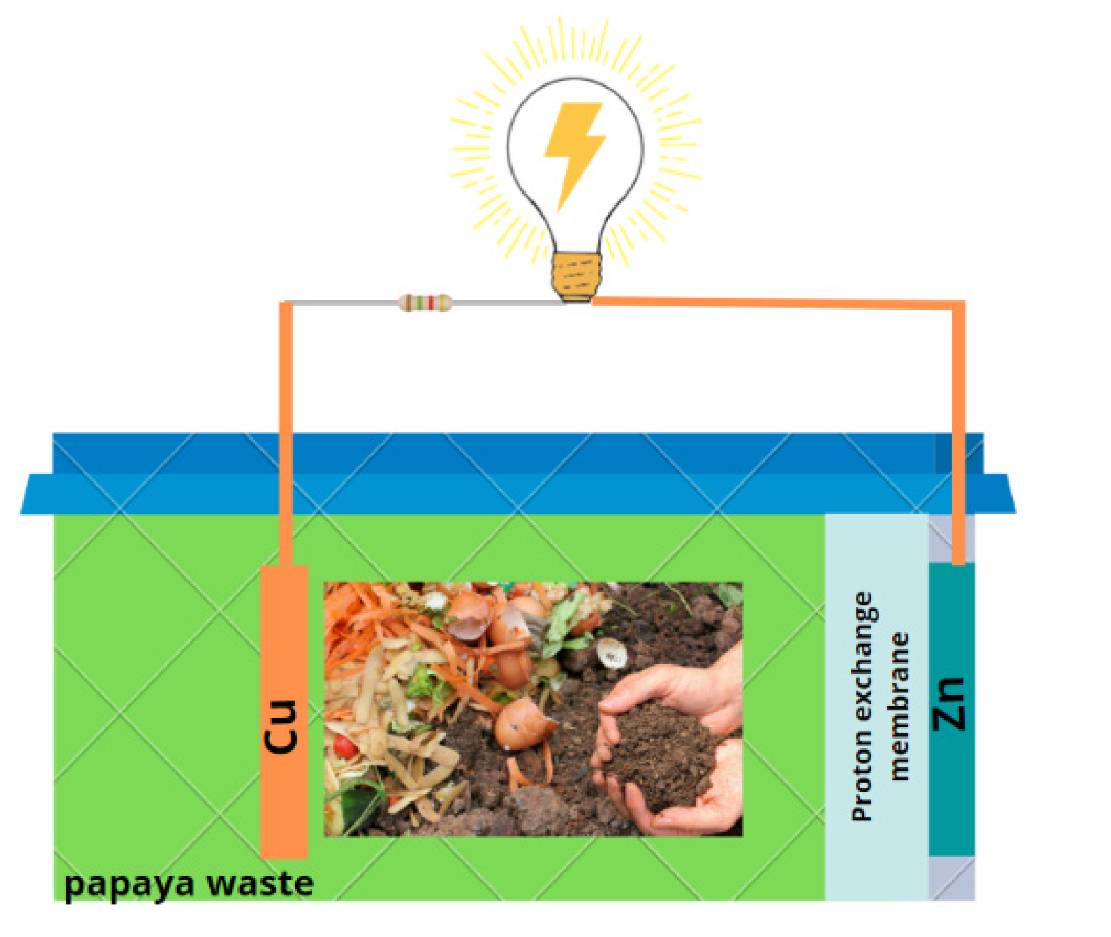 Fermentation 08 00335 g001