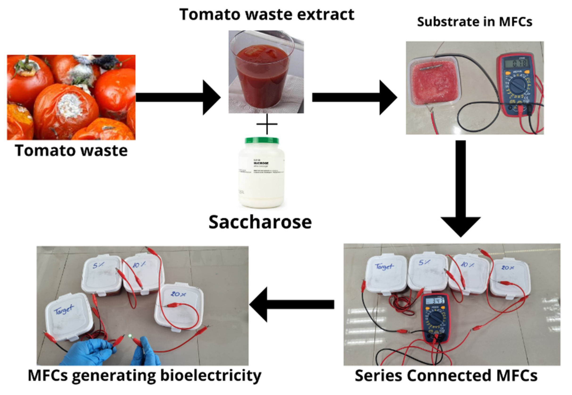 Fermentation 08 00335 g006
