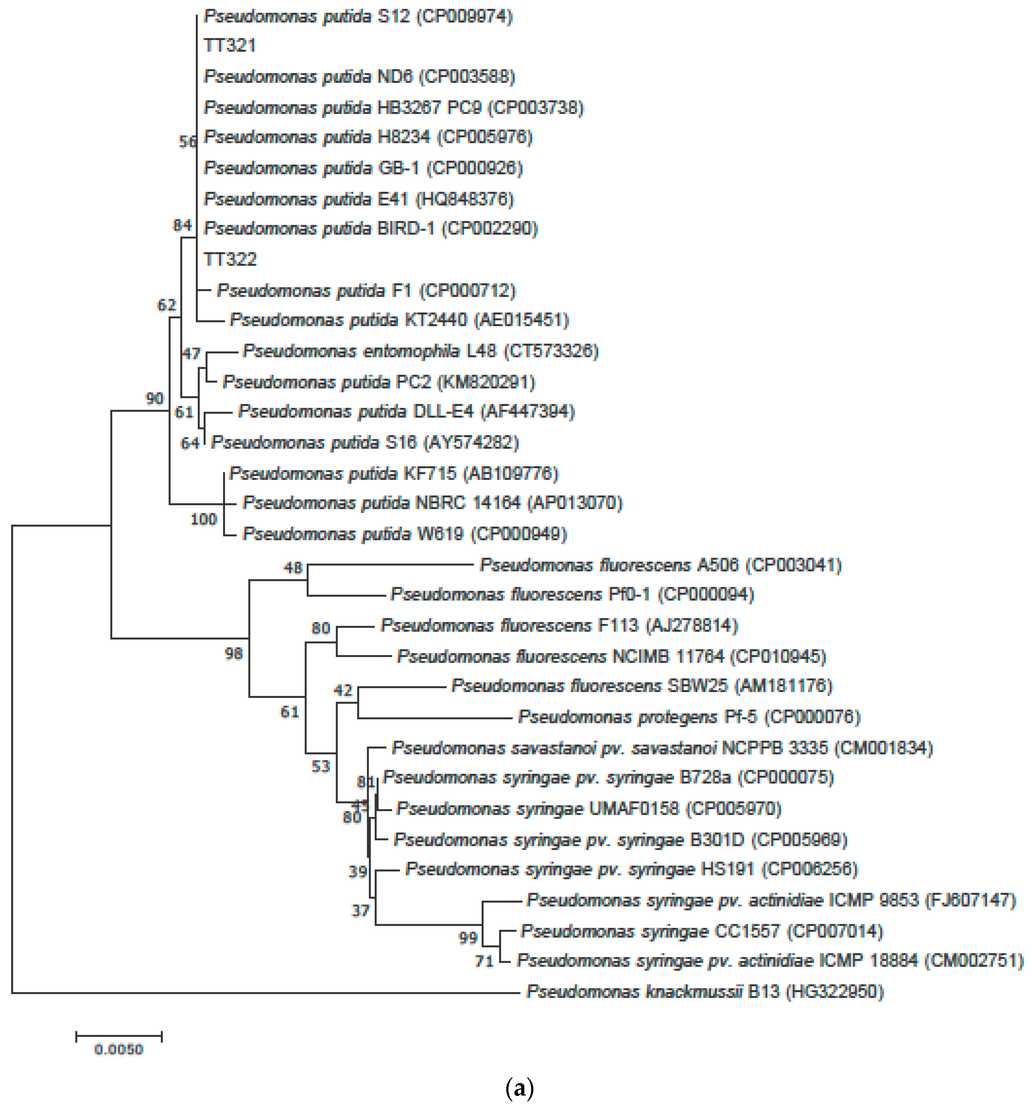Fermentation 08 00336 g001a 550