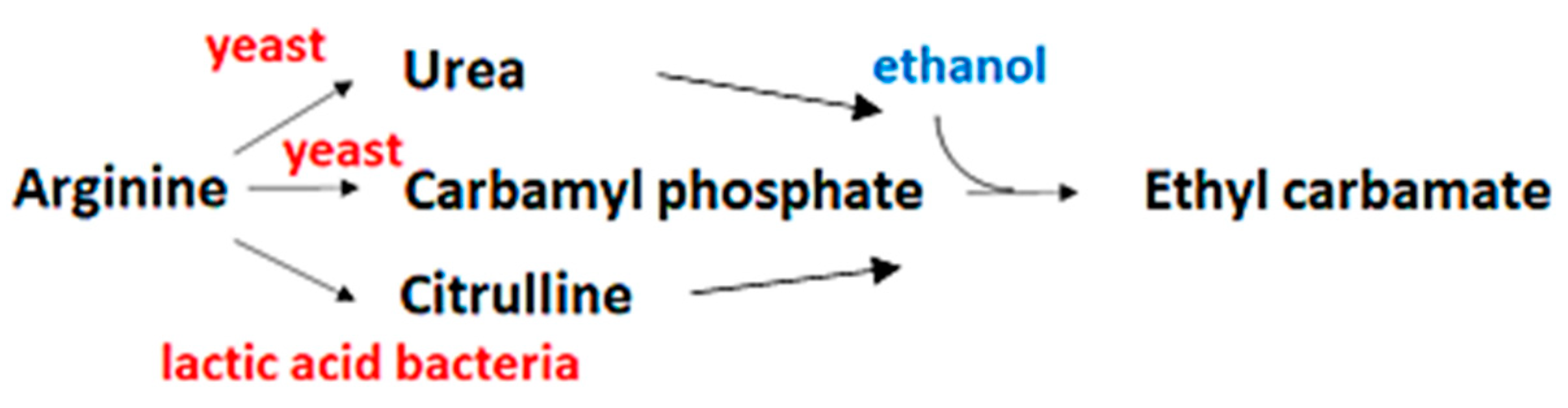 Fermentation 08 00338 g004 550