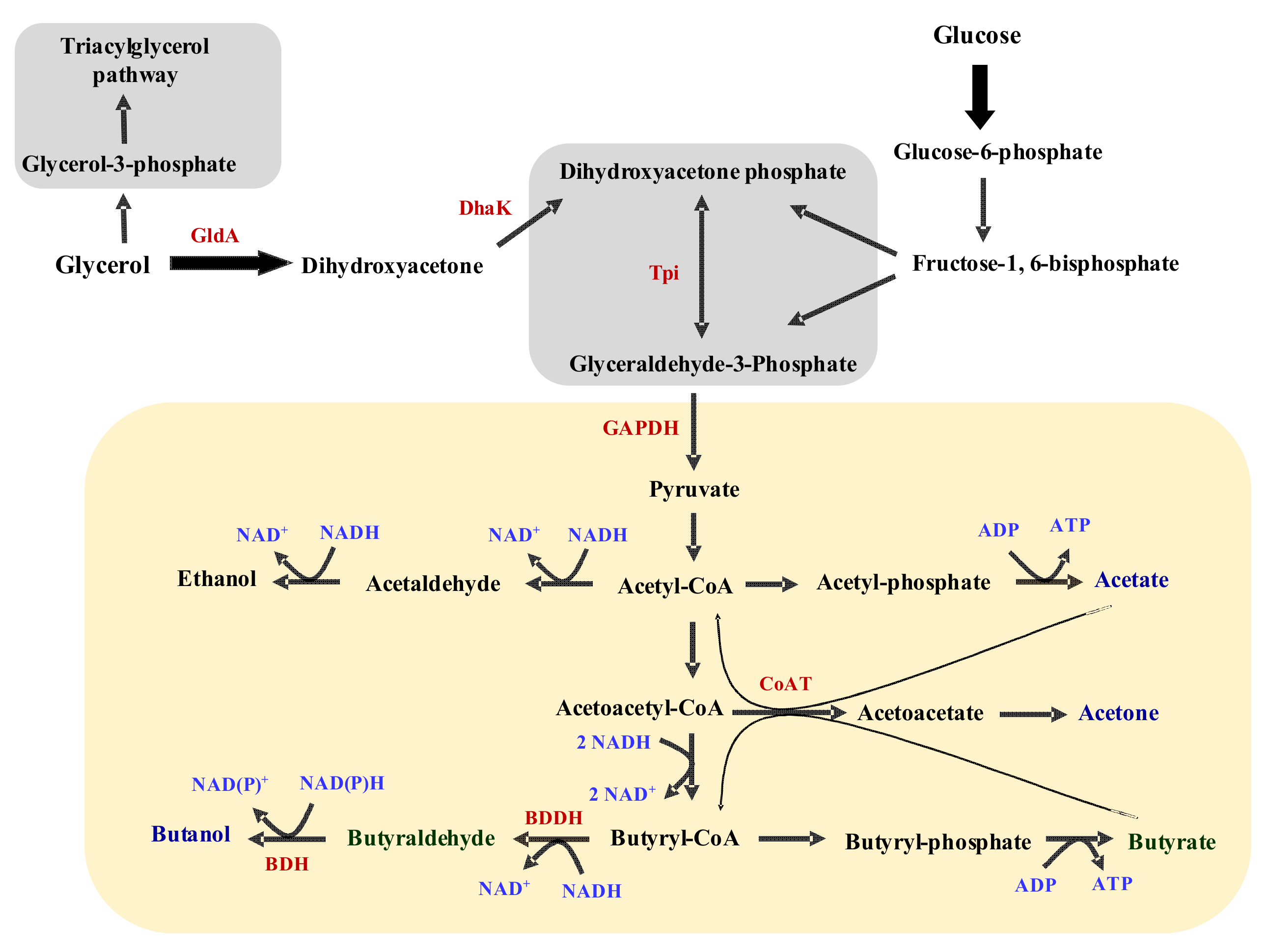 Fermentation 08 00339 g009