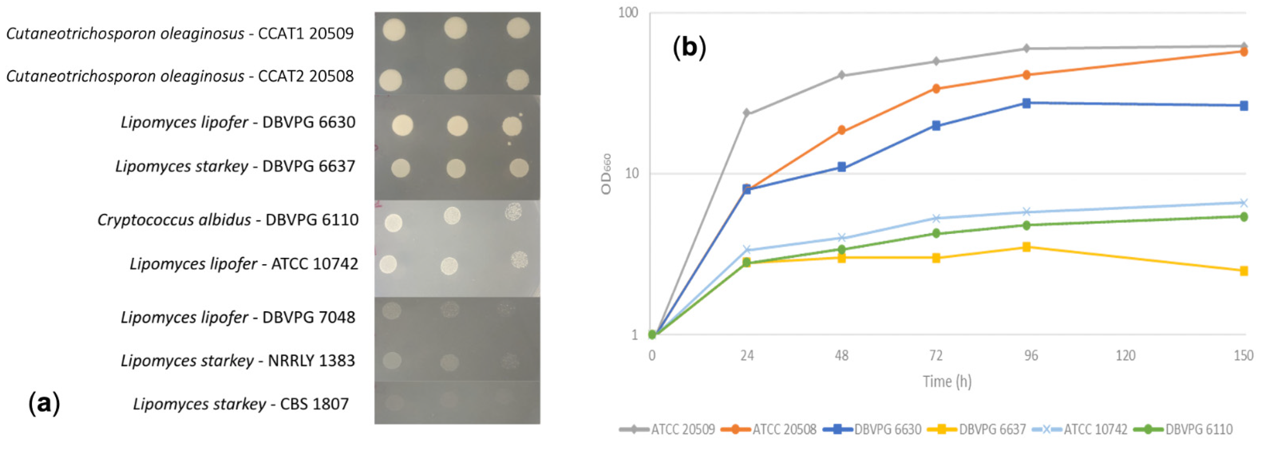 Fermentation 08 00341 g001