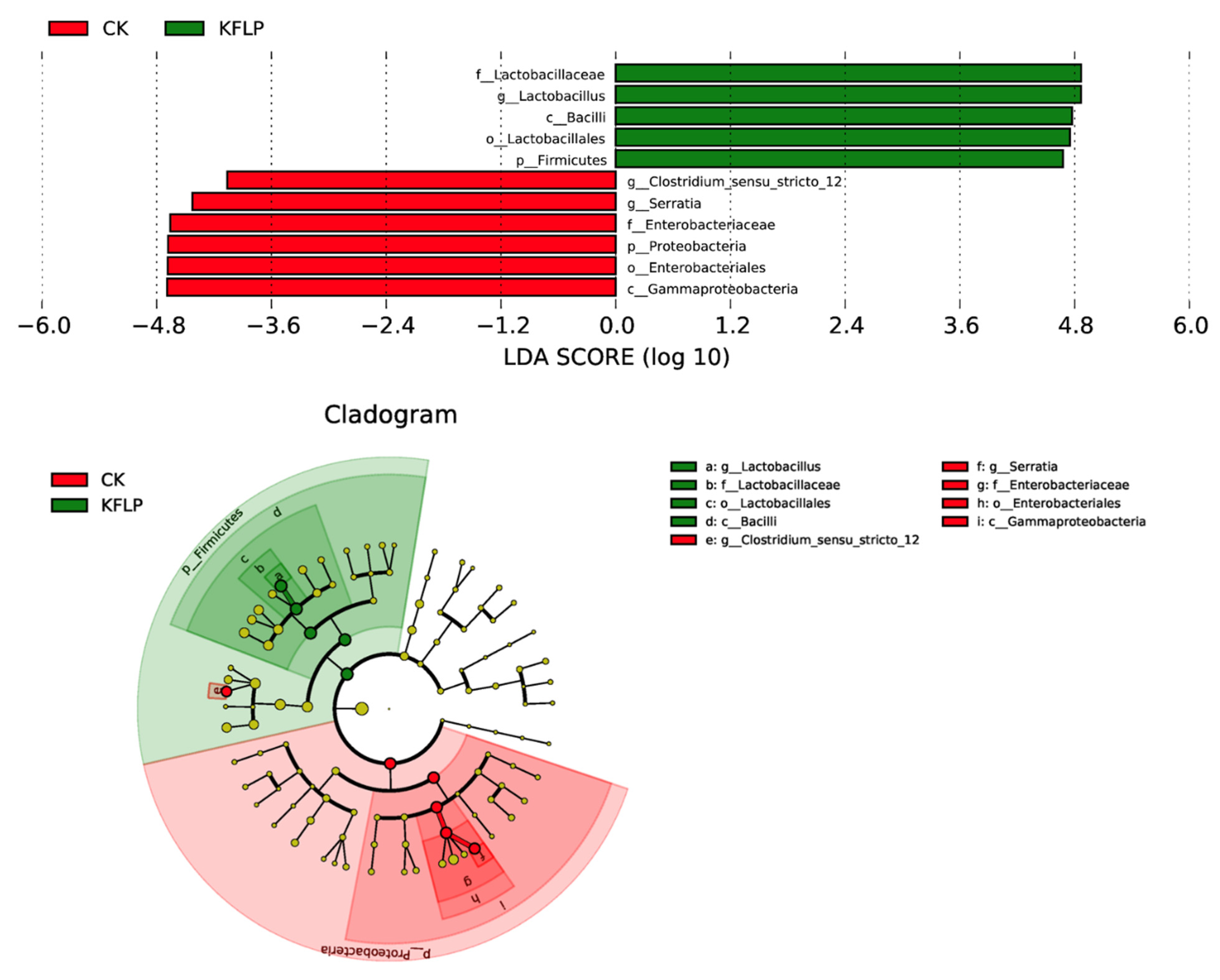 Fermentation 08 00348 g003