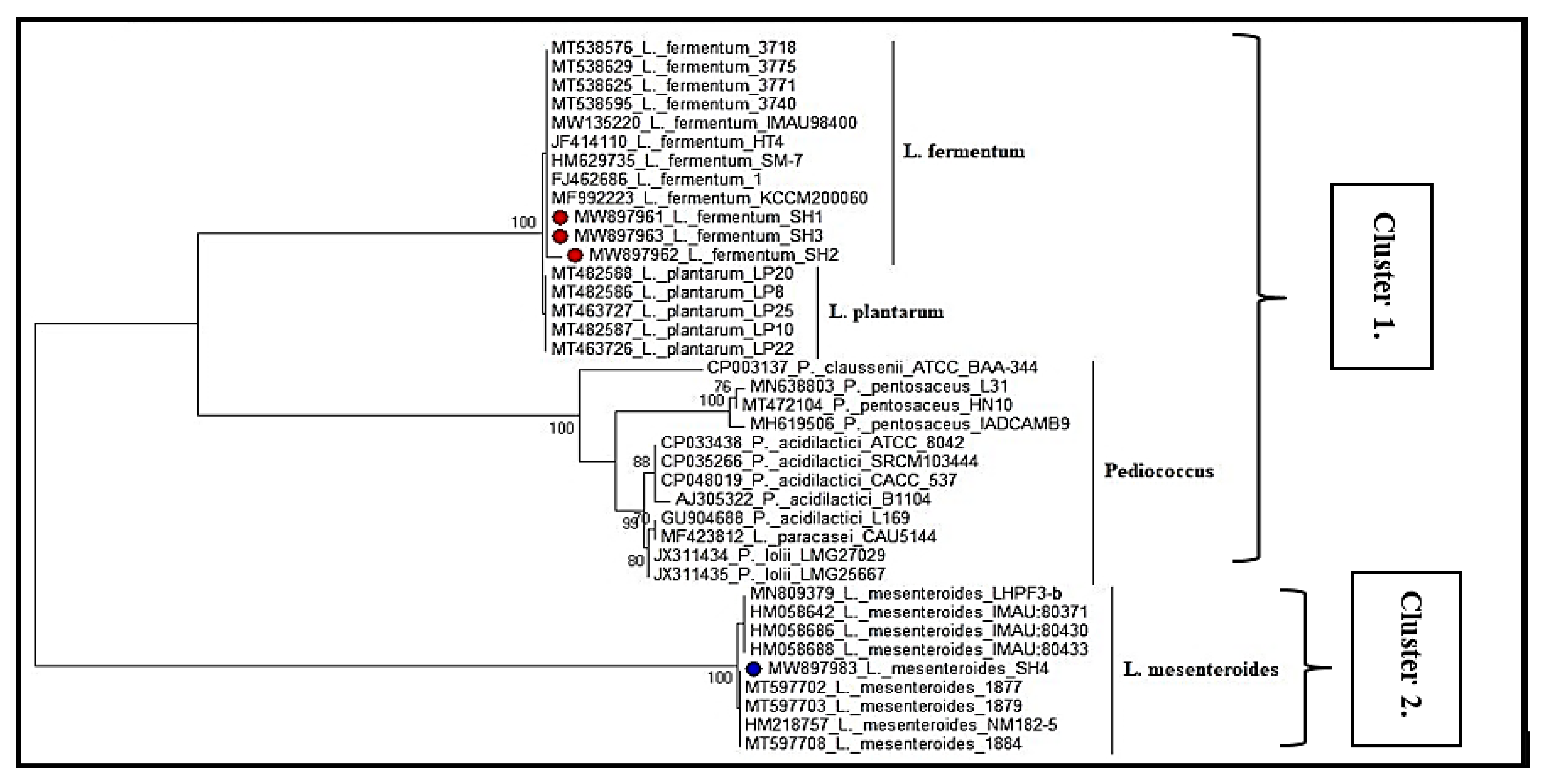 Fermentation 08 00350 g003 Fermentation 08 00350 g003