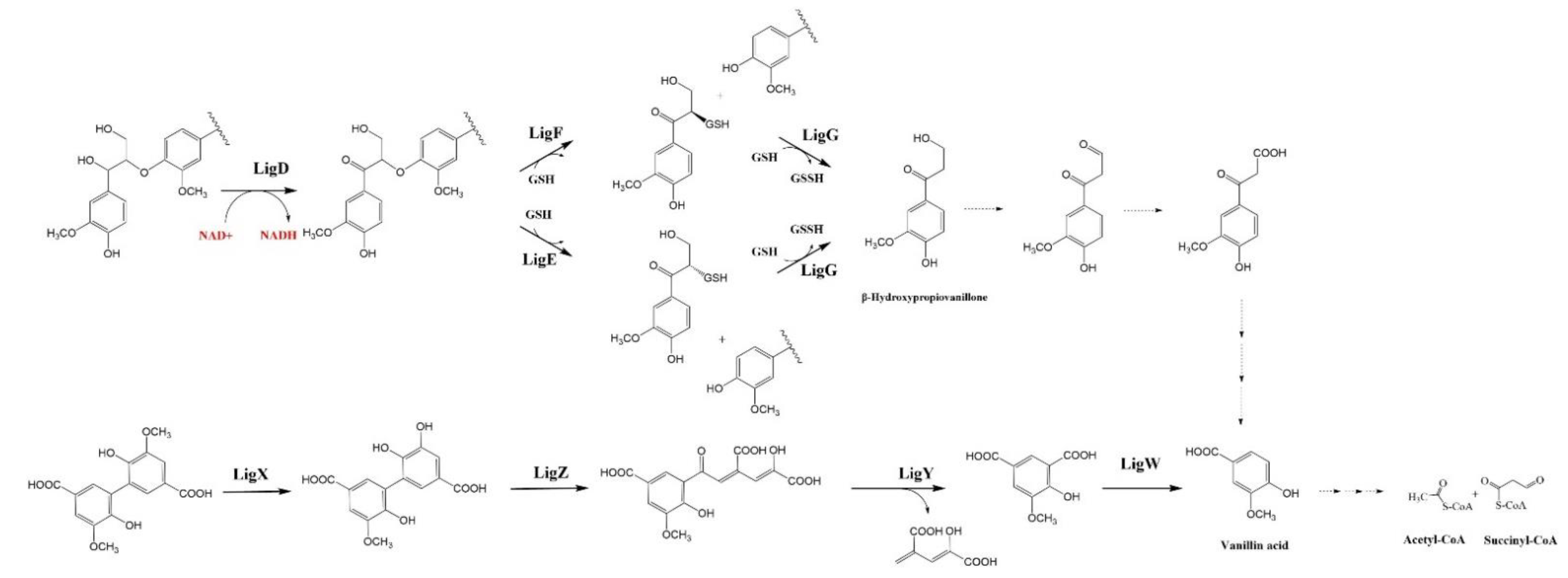 Fermentation 08 00366 g004 550