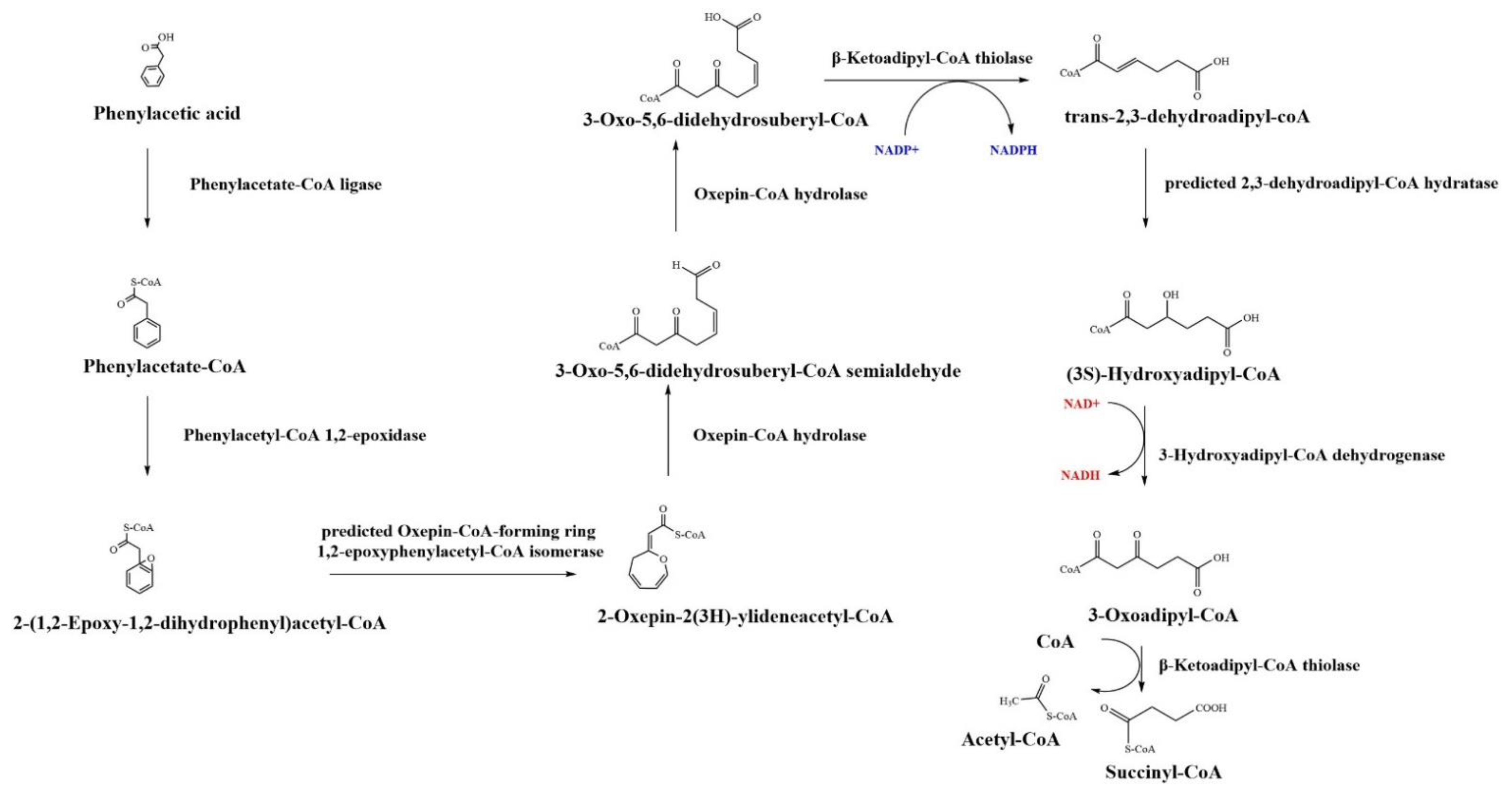 Fermentation 08 00366 g006 550