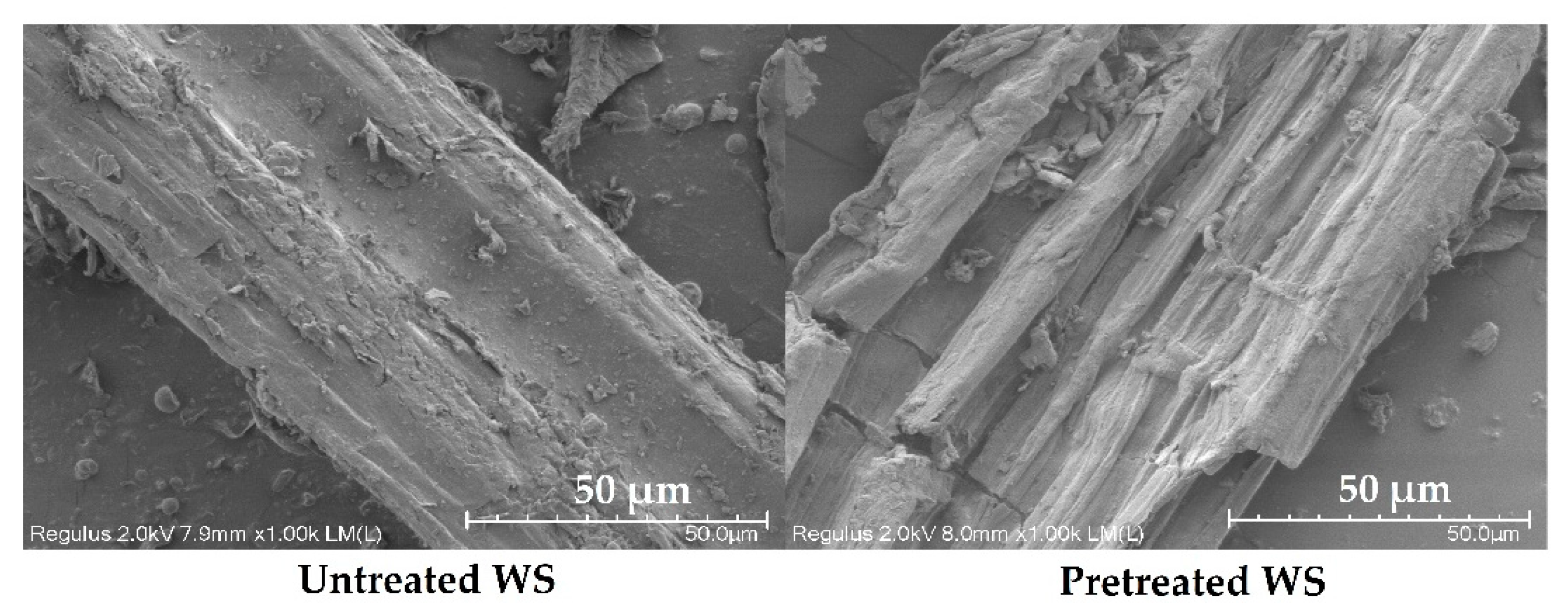 Fermentation 08 00371 g009