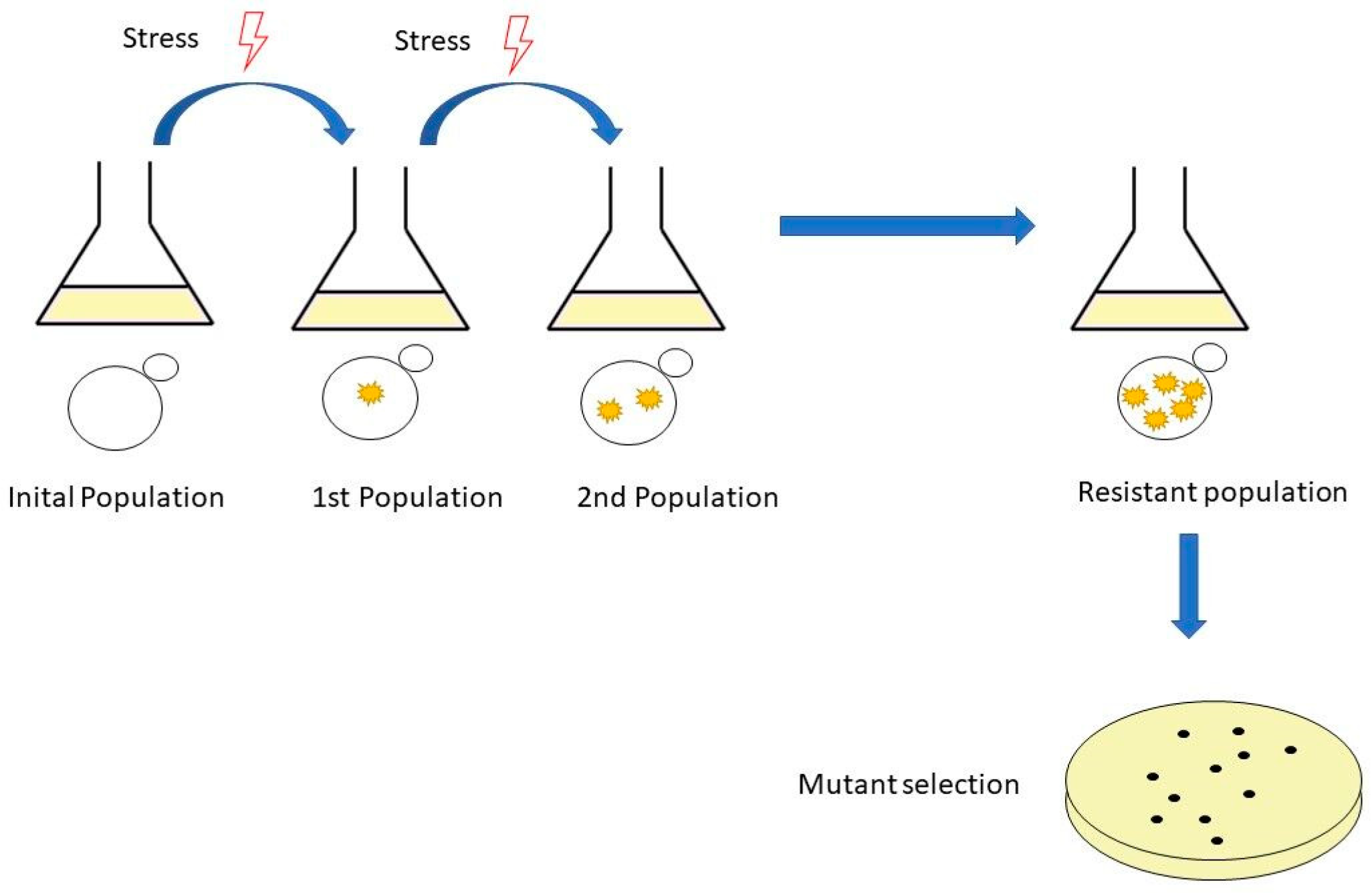 Fermentation 08 00372 g001 550