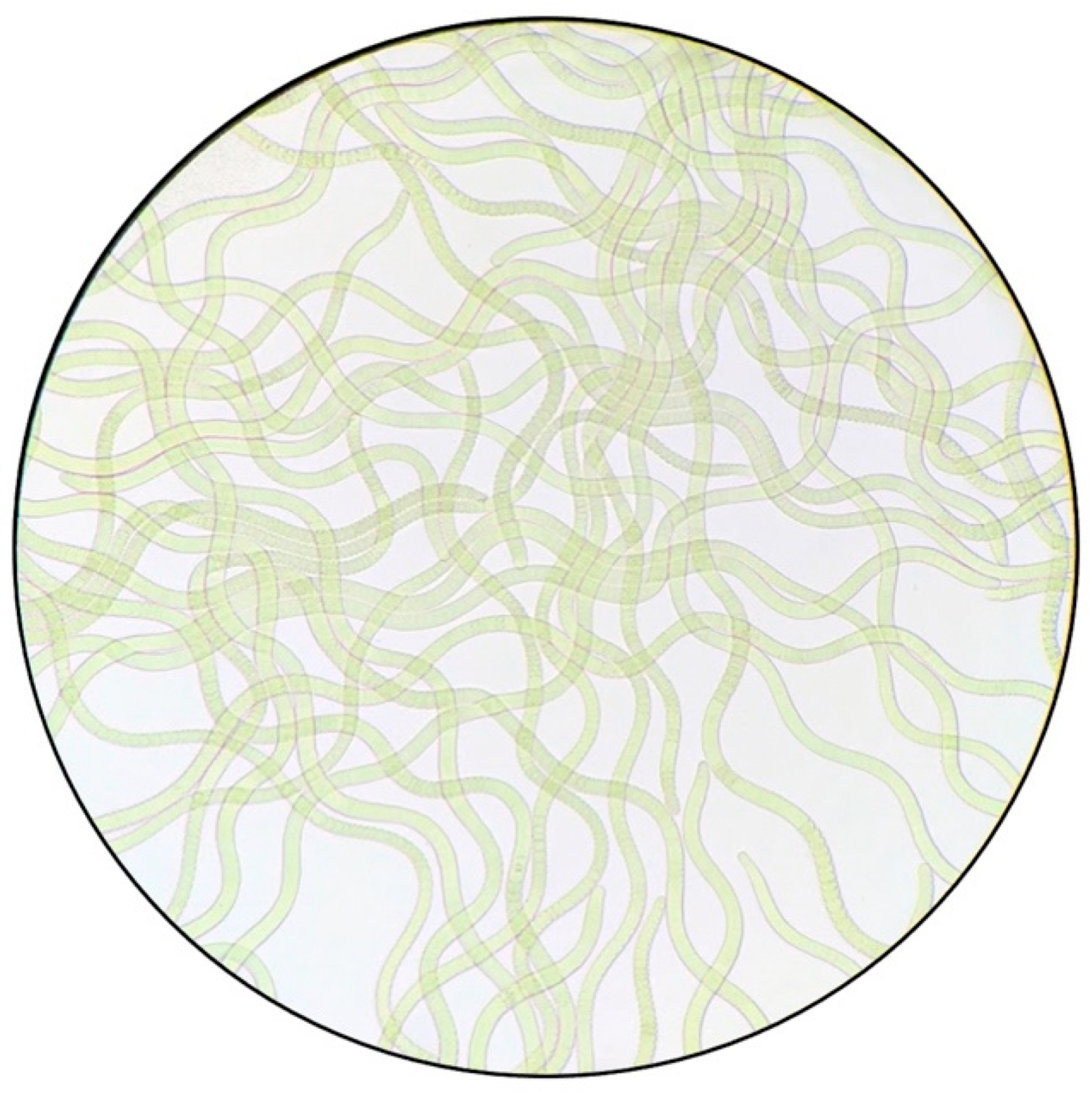 Fermentation 08 00374 g004 550