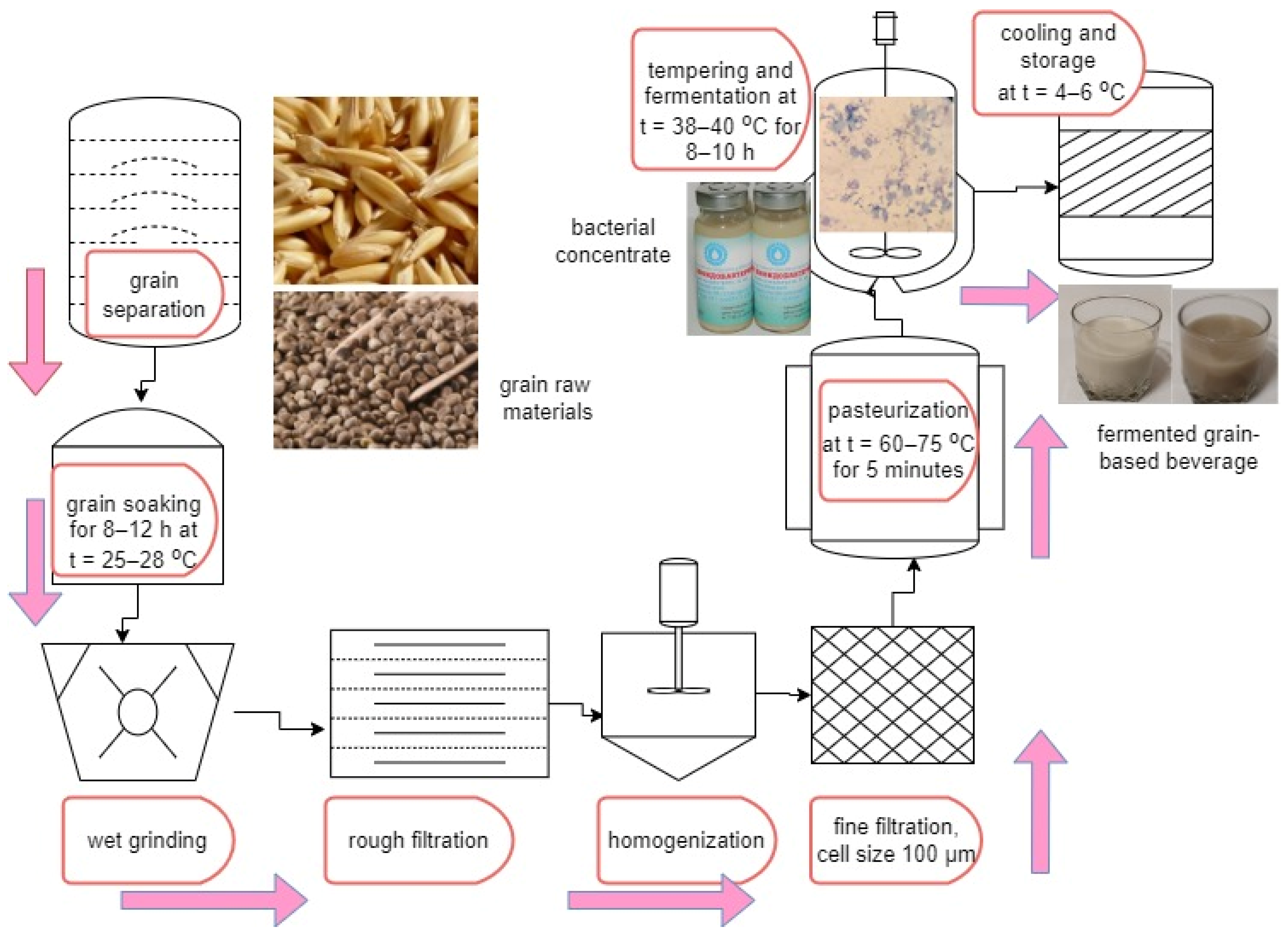 Fermentation 08 00384 g001