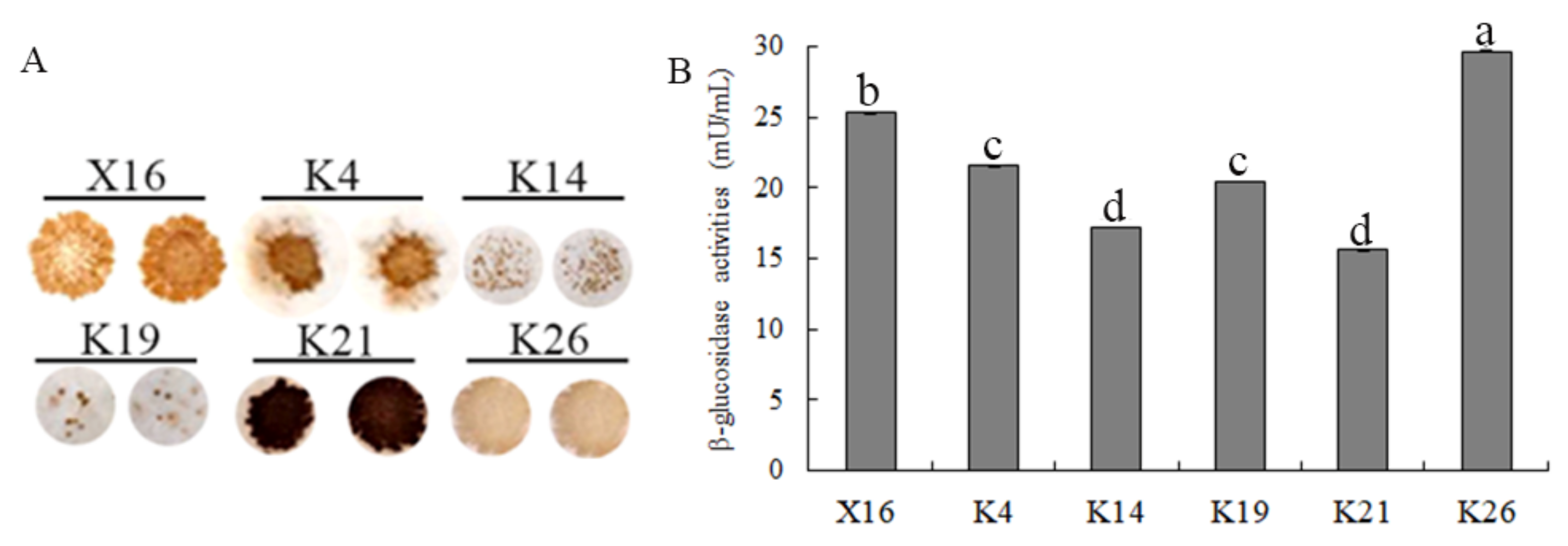 Fermentation 08 00388 g005 550