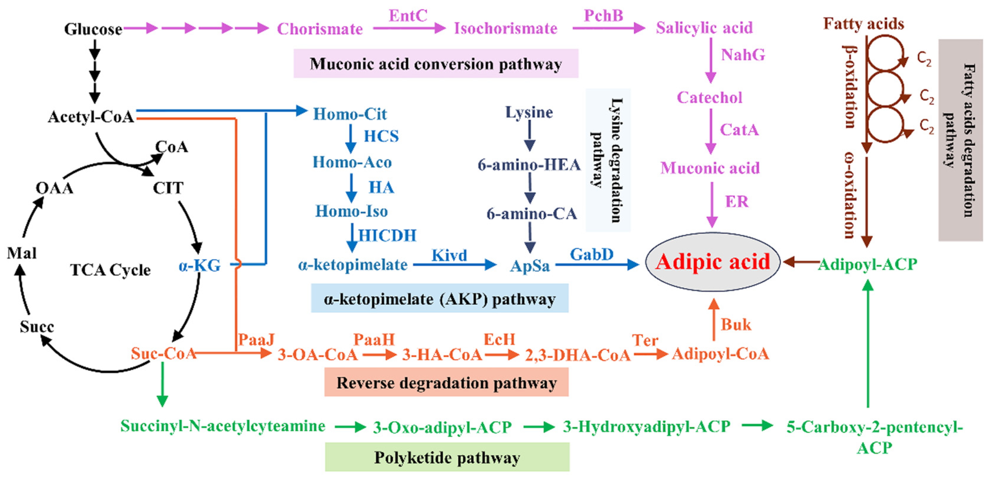 Fermentation 08 00393 g001 550