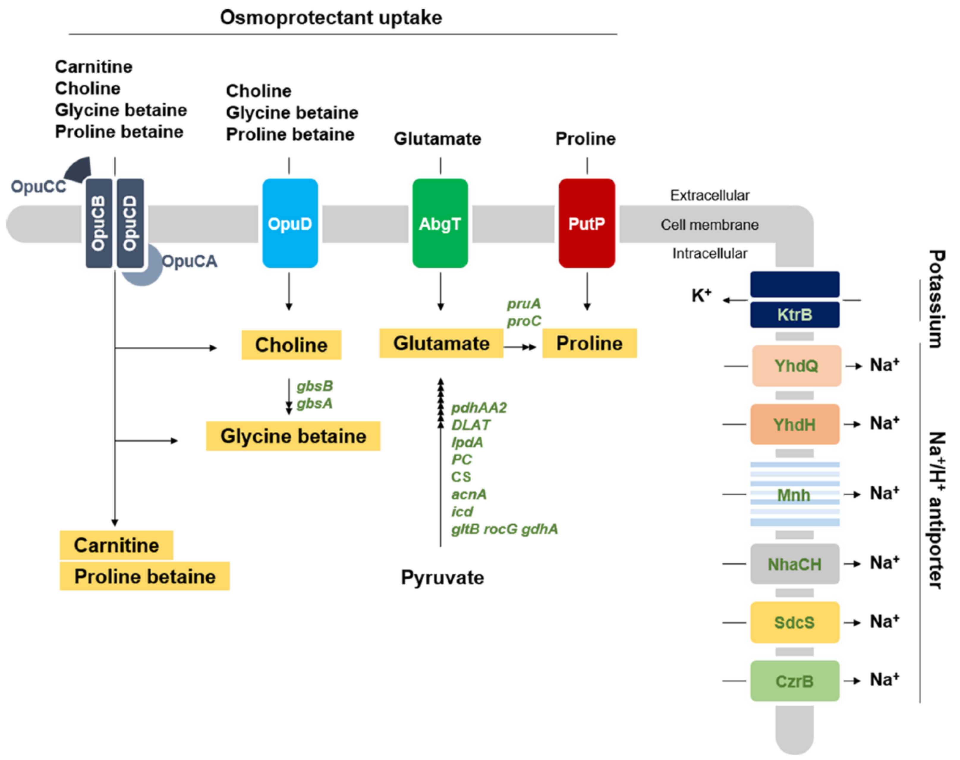 Fermentation 08 00403 g004