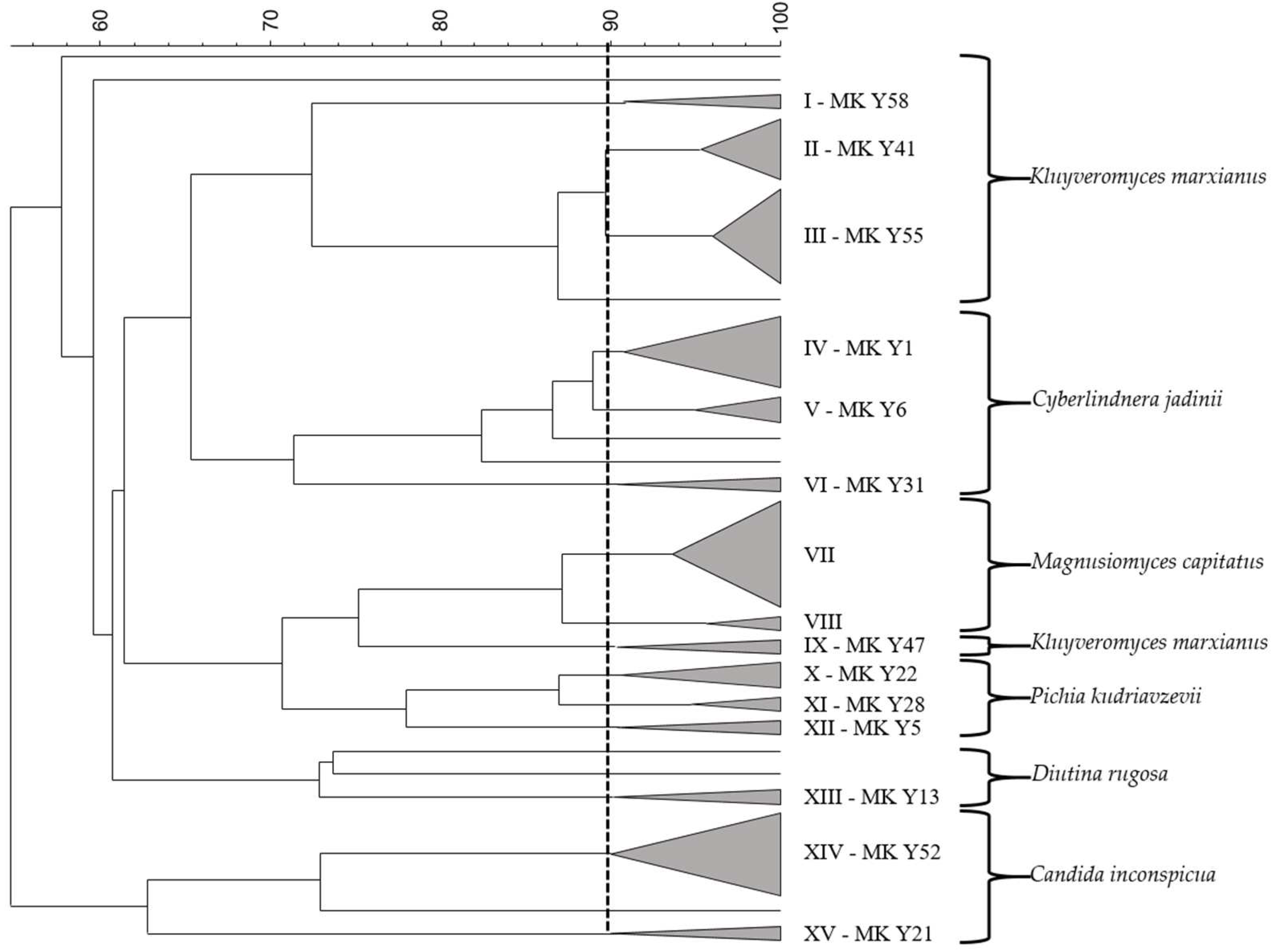 Fermentation 08 00407 g001