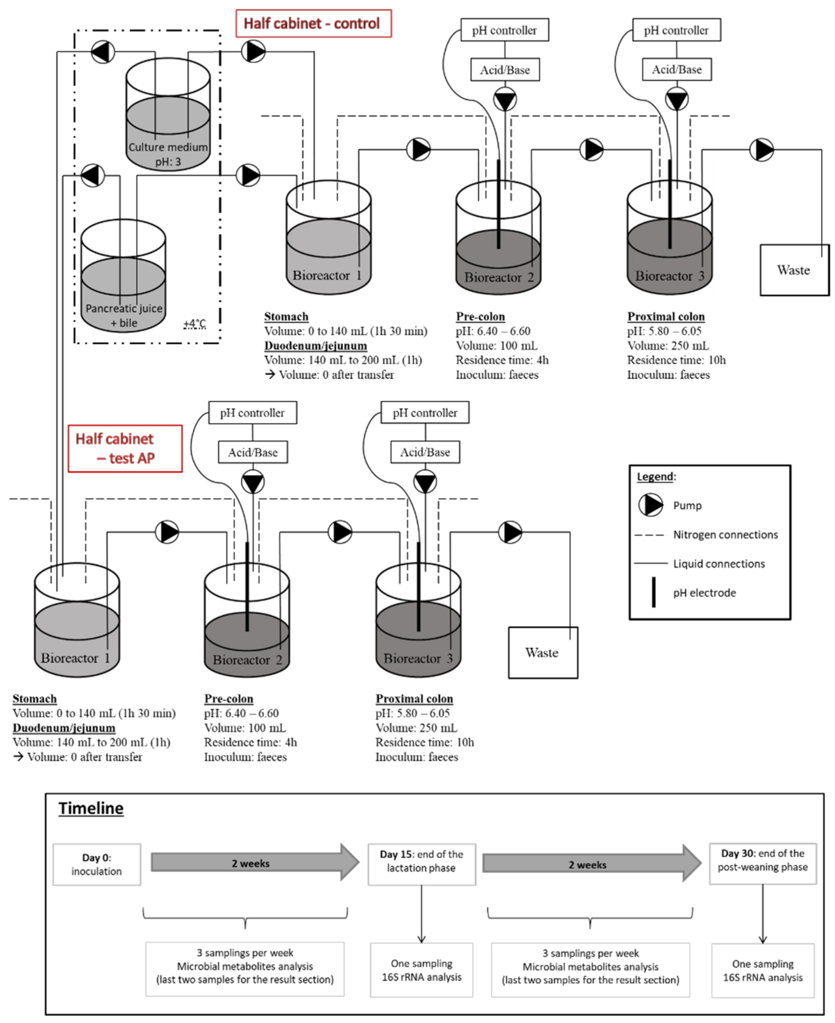 Fermentation 08 00408 g001