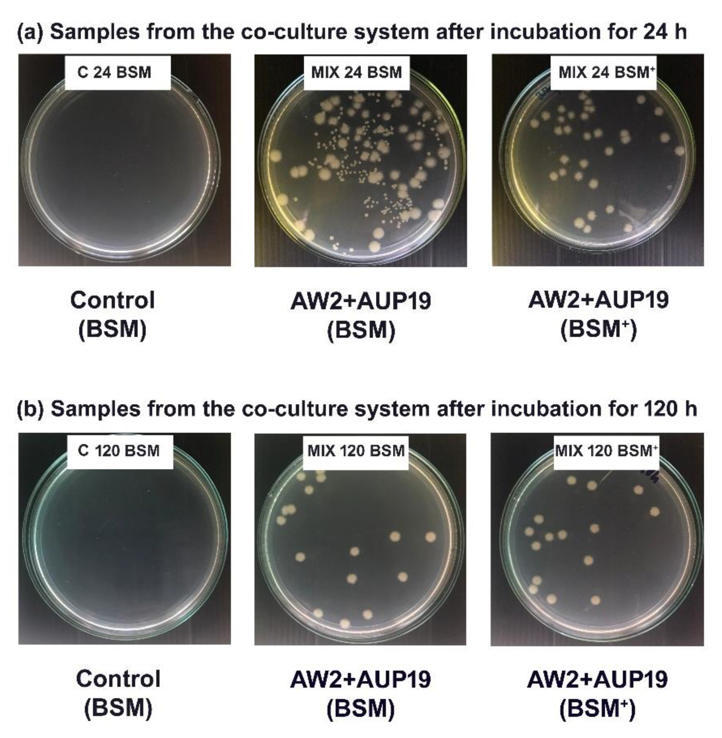 Fermentation 08 00411 g006