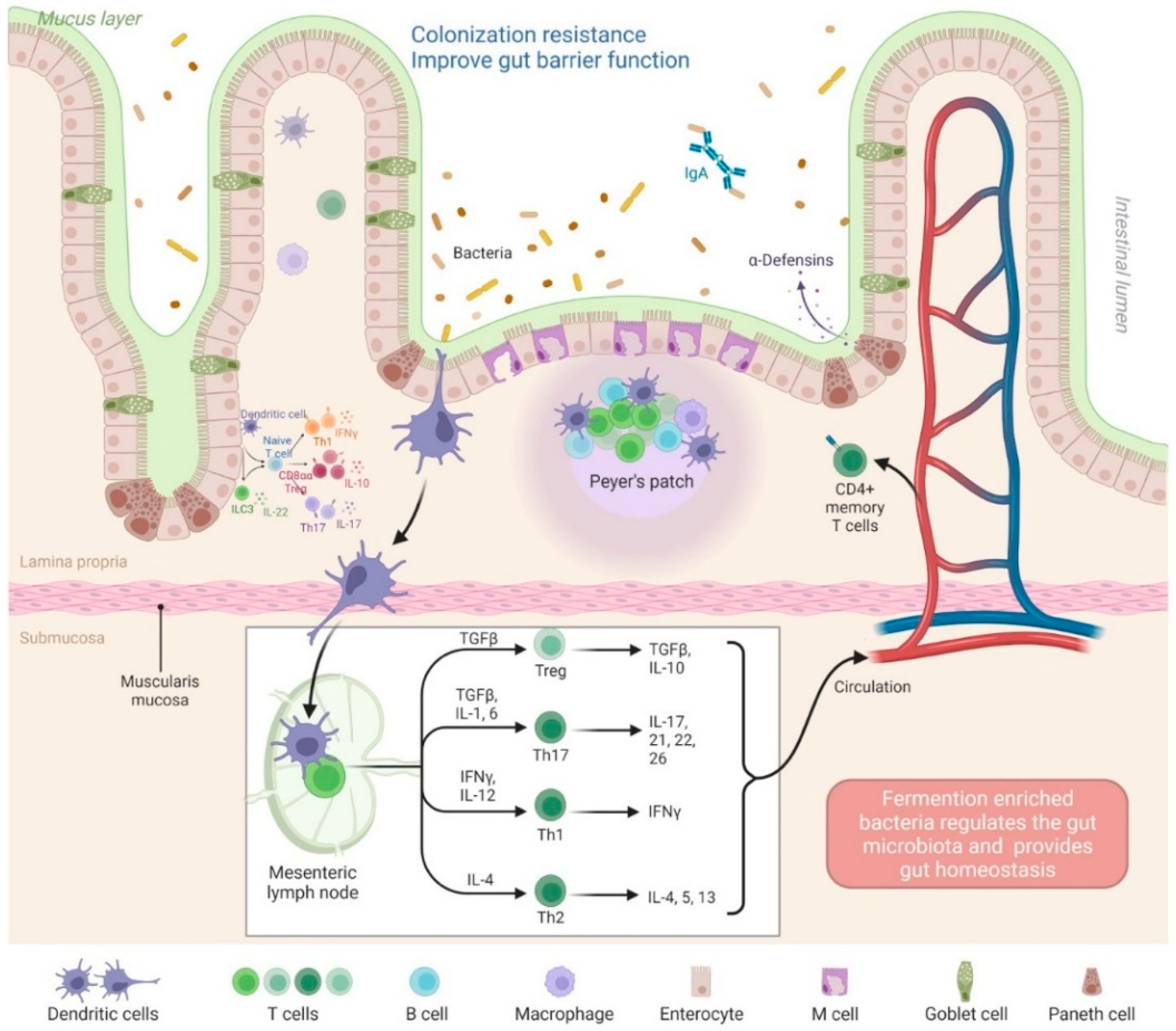Fermentation 08 00425 g003 Fermentation 08 00425 g003