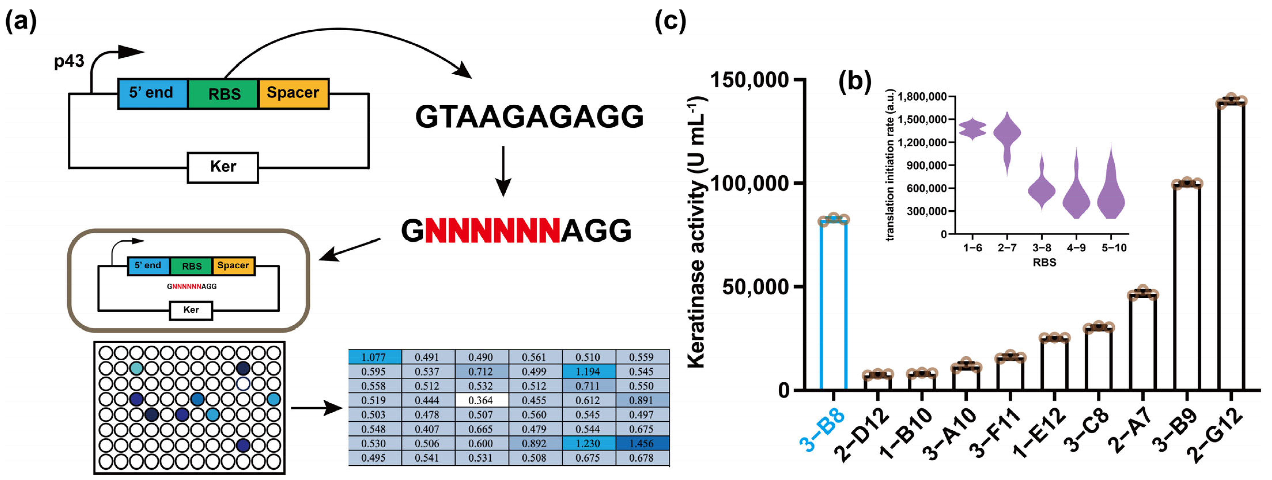 Fermentation 08 00426 g002 Fermentation 08 00426 g002