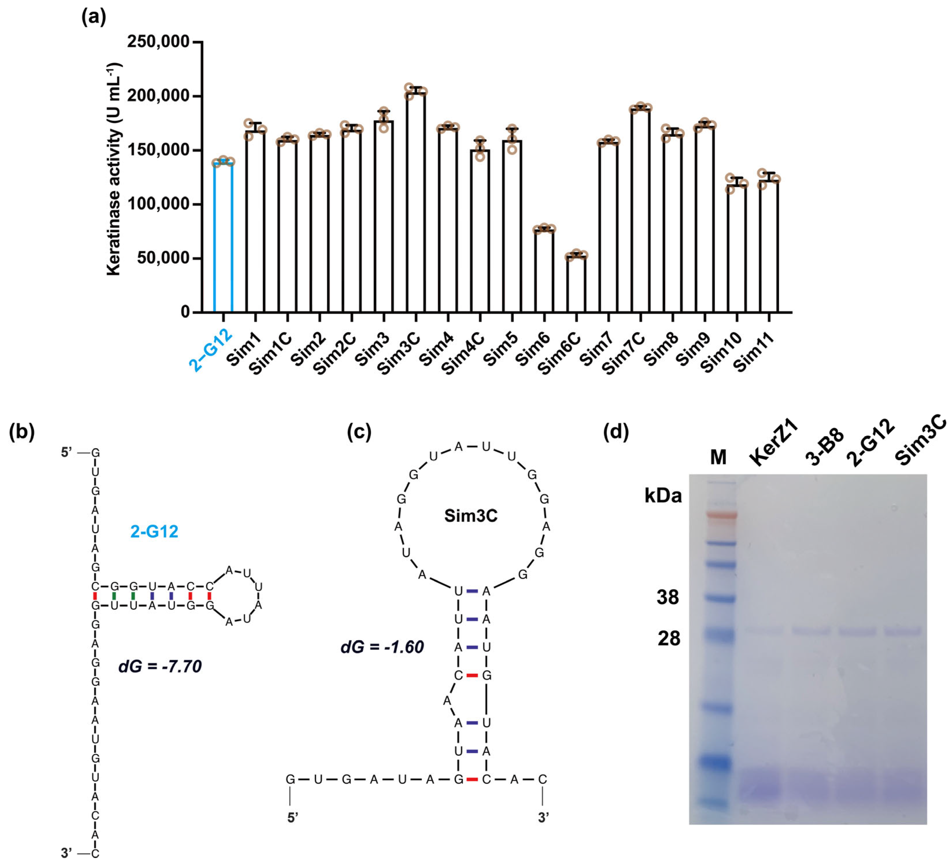 Fermentation 08 00426 g003 Fermentation 08 00426 g003