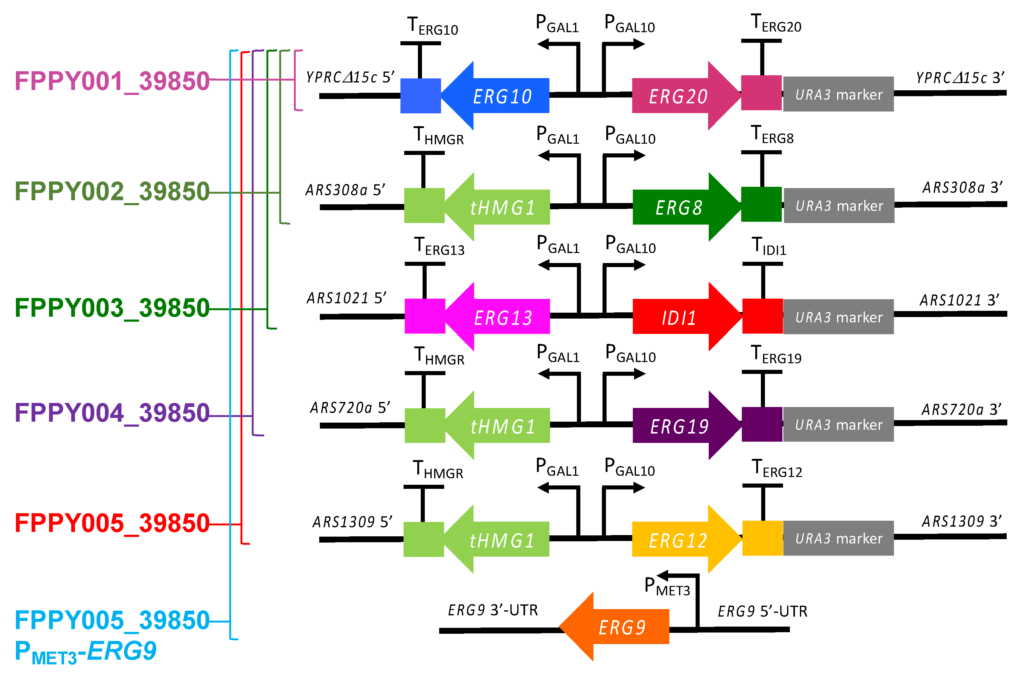 Fermentation 08 00429 g002