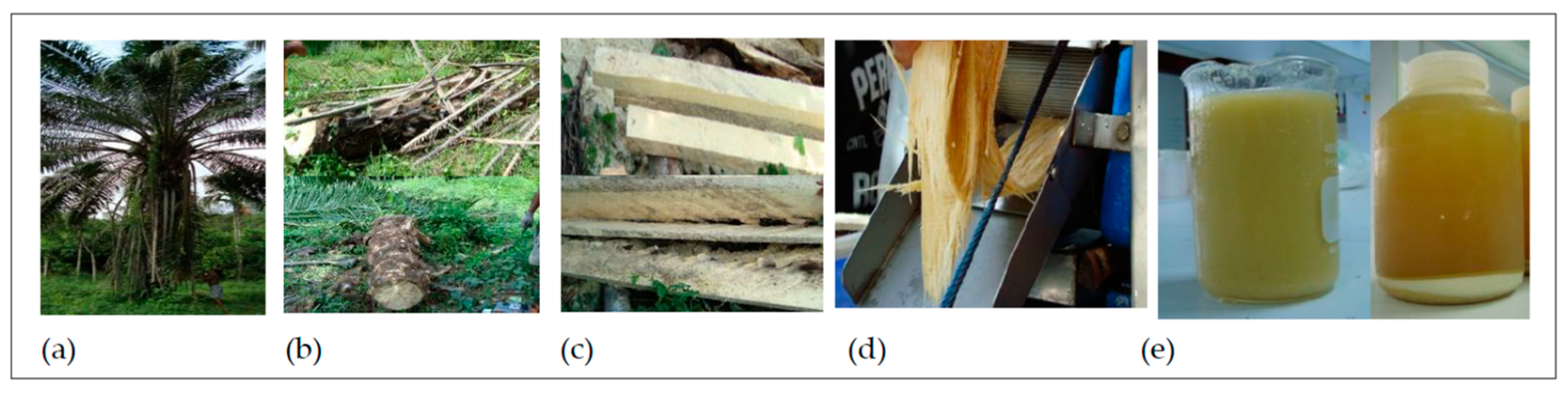 Fermentation 08 00430 g001