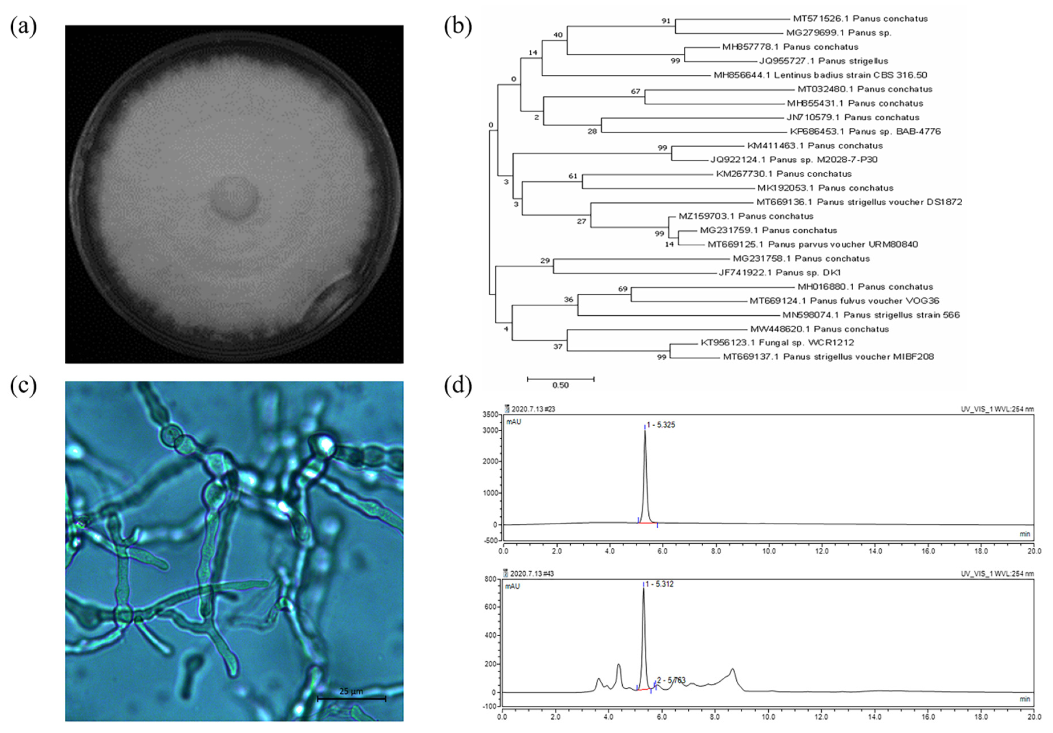 Fermentation 08 00431 g002 550
