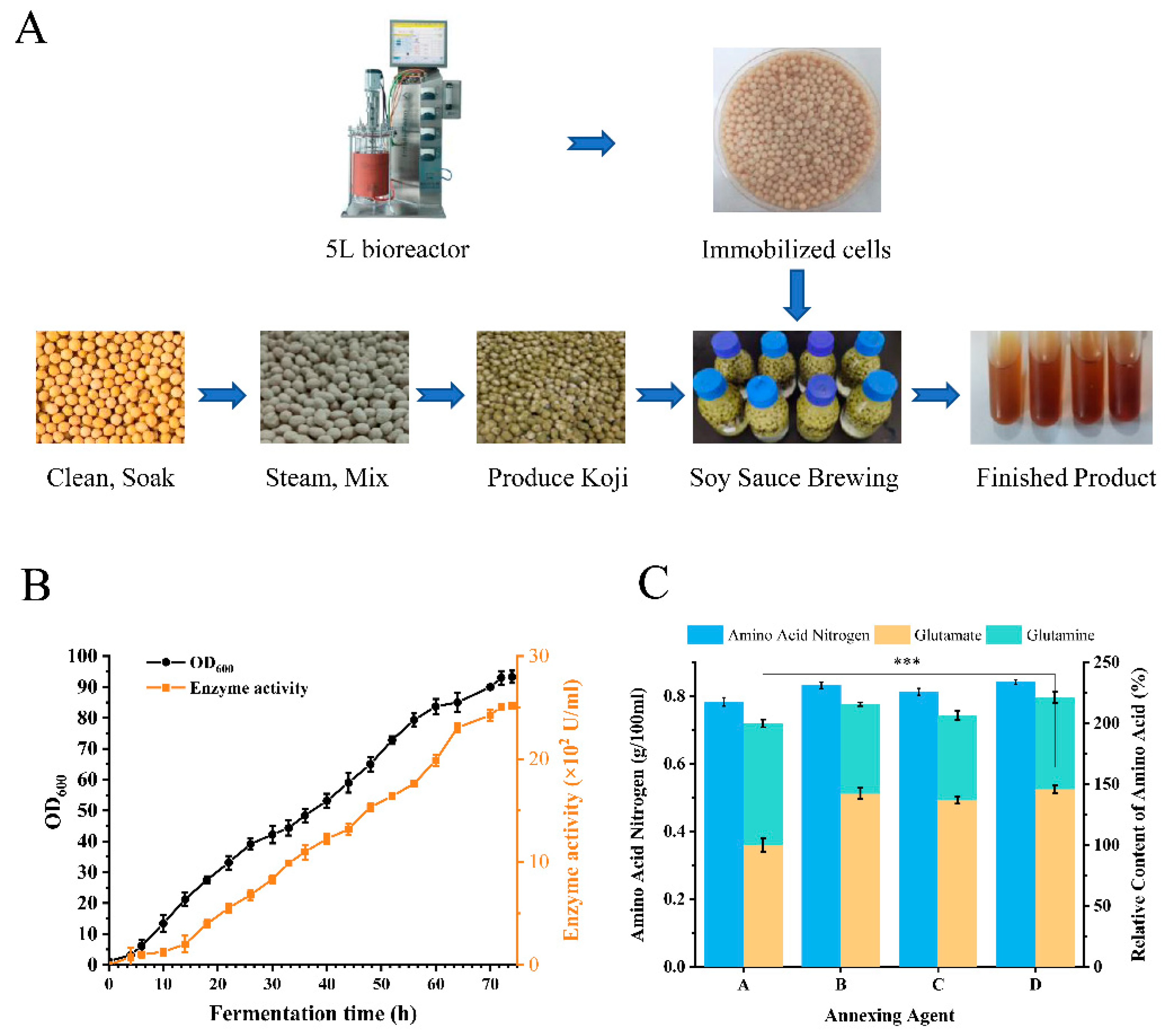 Fermentation Free FullText A Novel SaltTolerant LGlutaminase
