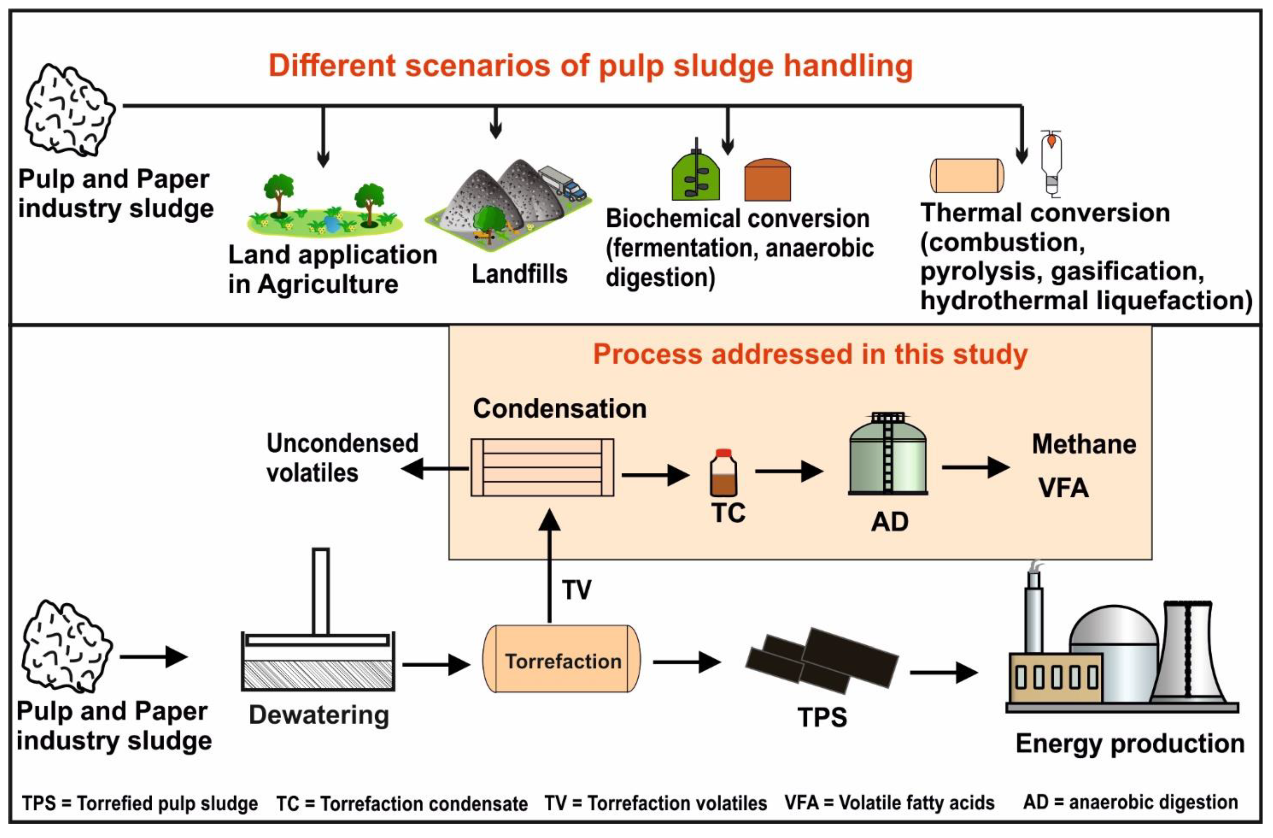Fermentation | Free Full-Text | Integrating Torrefaction of Pulp Industry  Sludge with Anaerobic Digestion to Produce Biomethane and Volatile Fatty  Acids: An Example of Industrial Symbiosis for Circular Bioeconomy