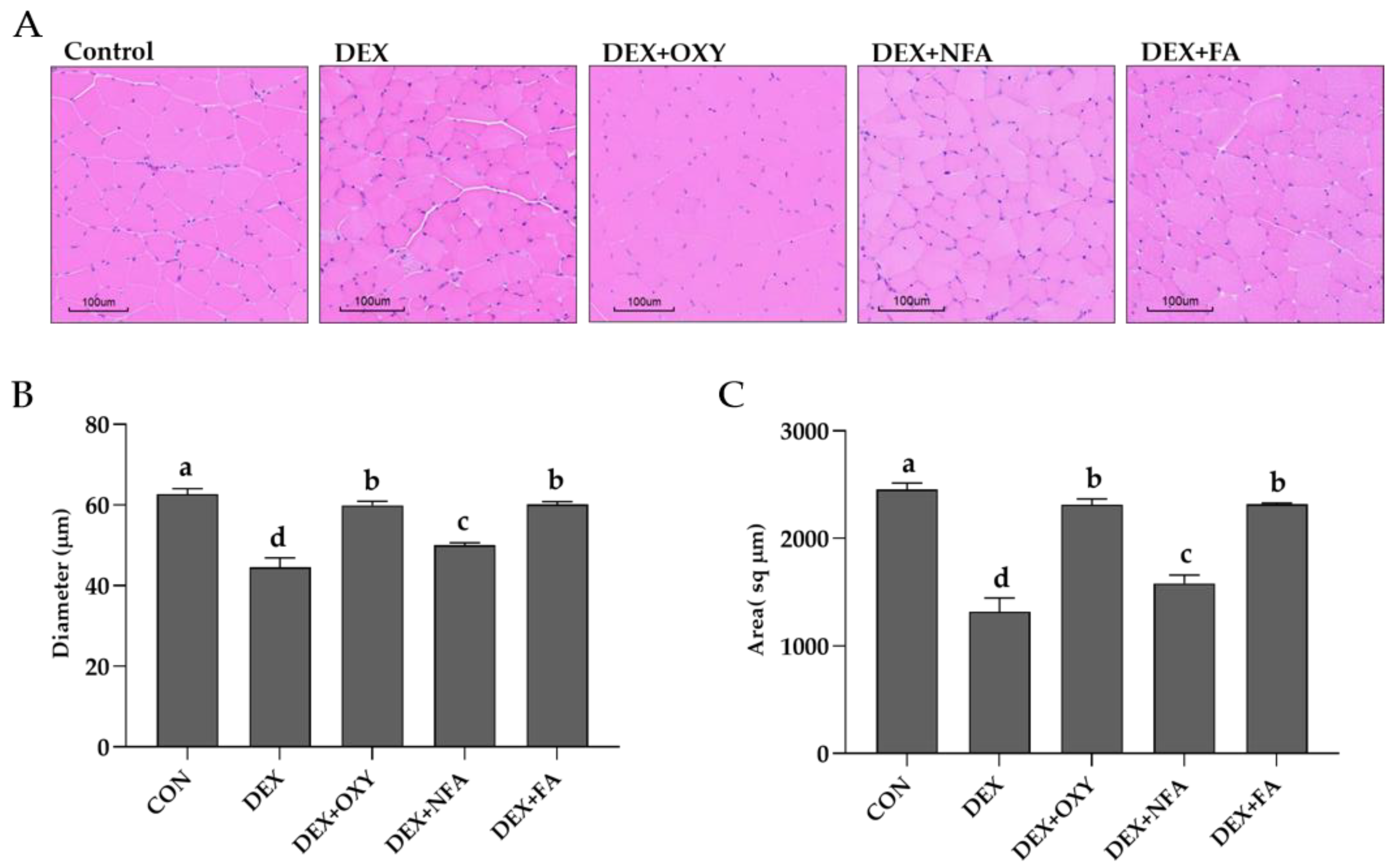 Fermentation 08 00454 g004